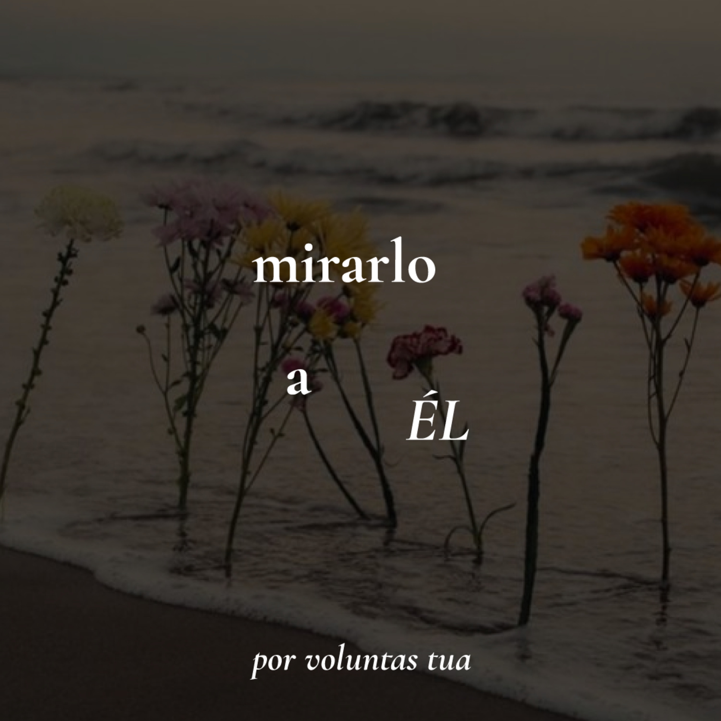 Ep 42: Mirarlo a Él - así va la historia