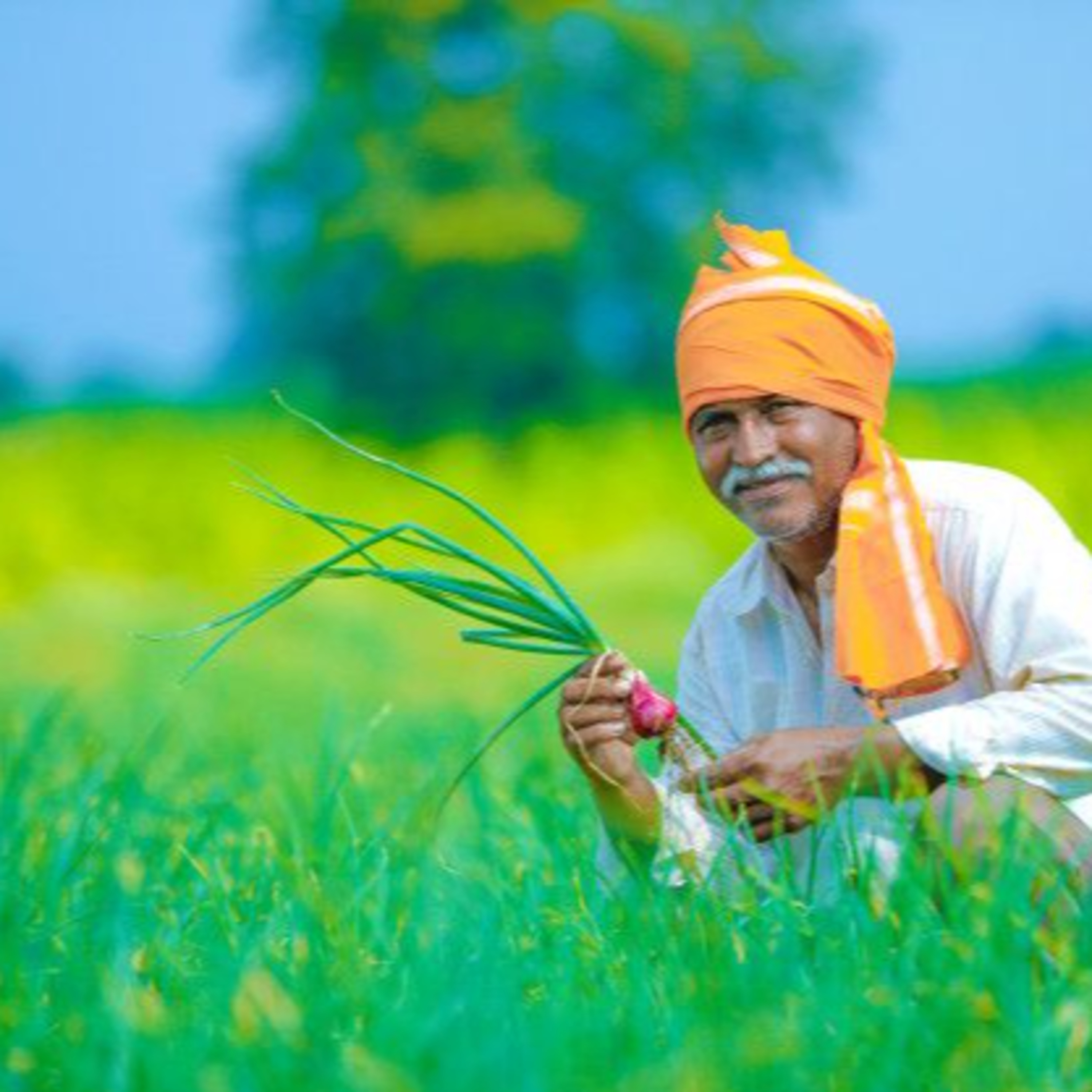 Got Milk? - The Indian Dairy Context.