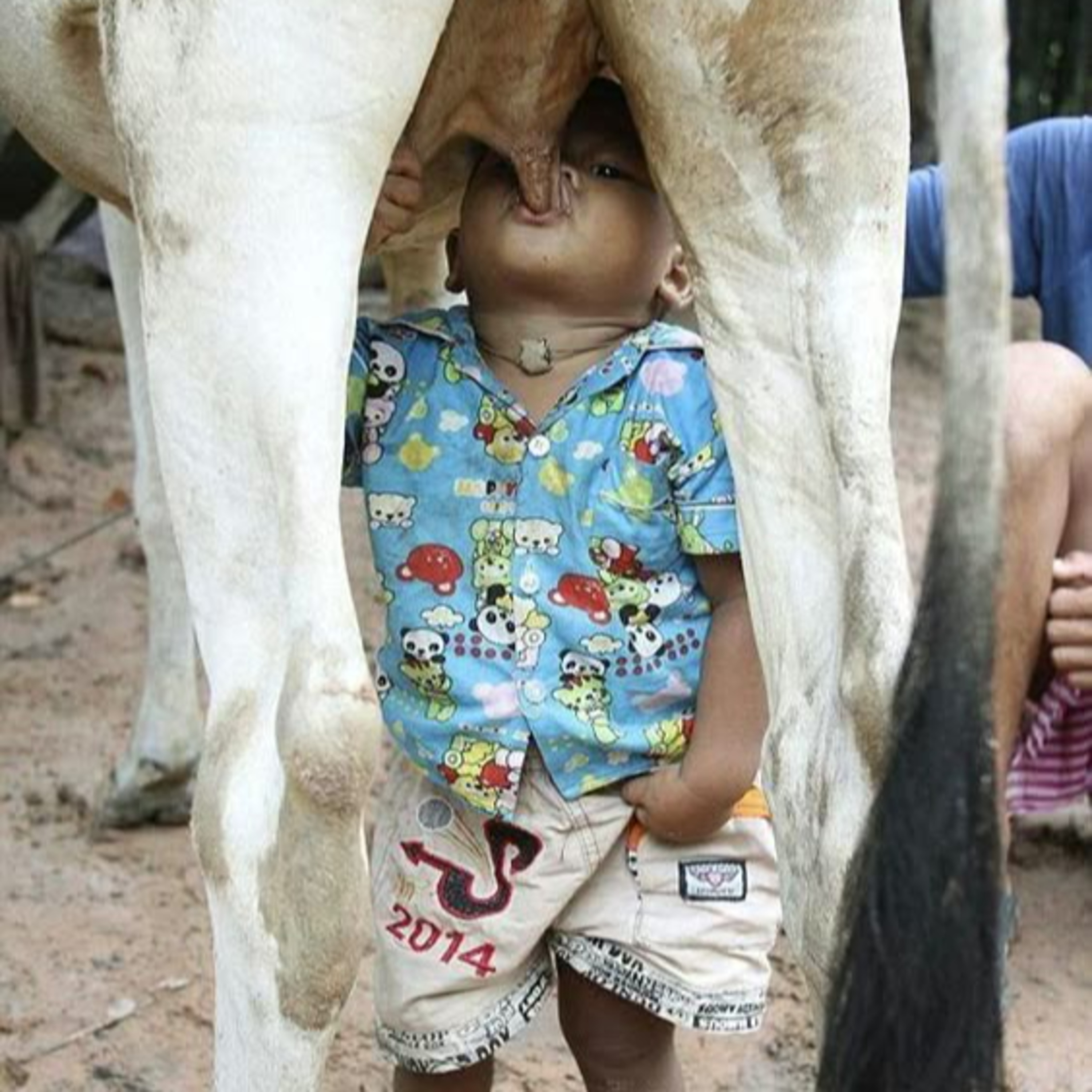 Got Milk? - The Indian Dairy Context.