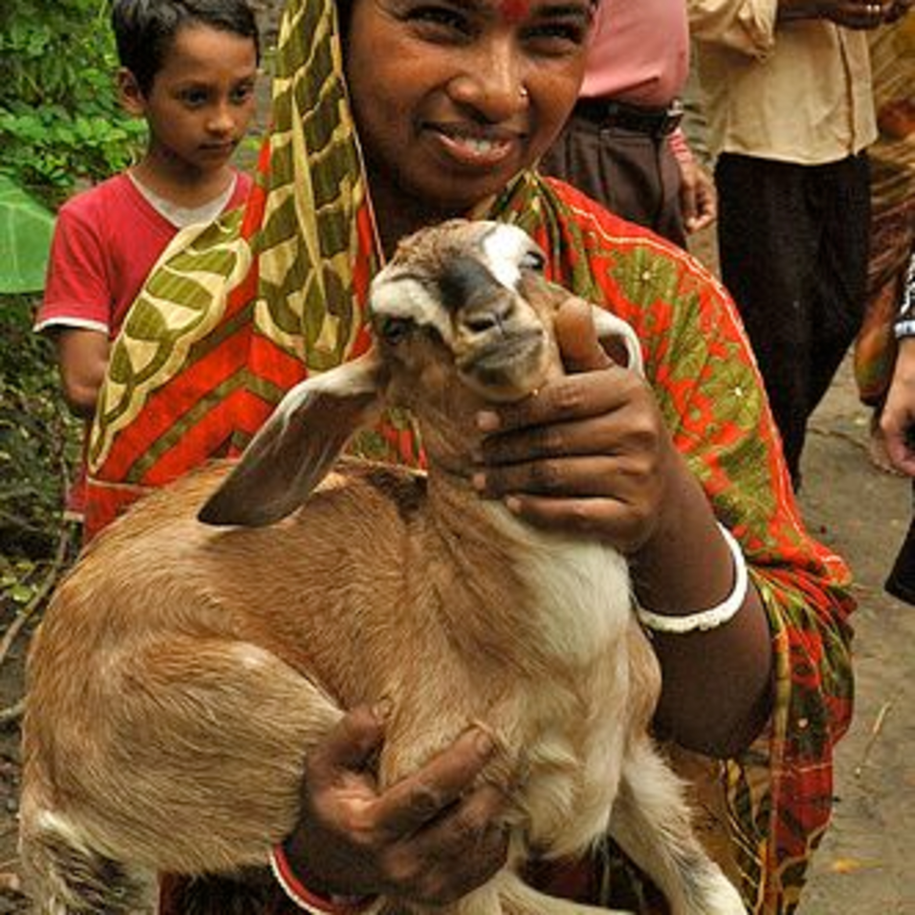 Got Milk? - The Indian Dairy Context.