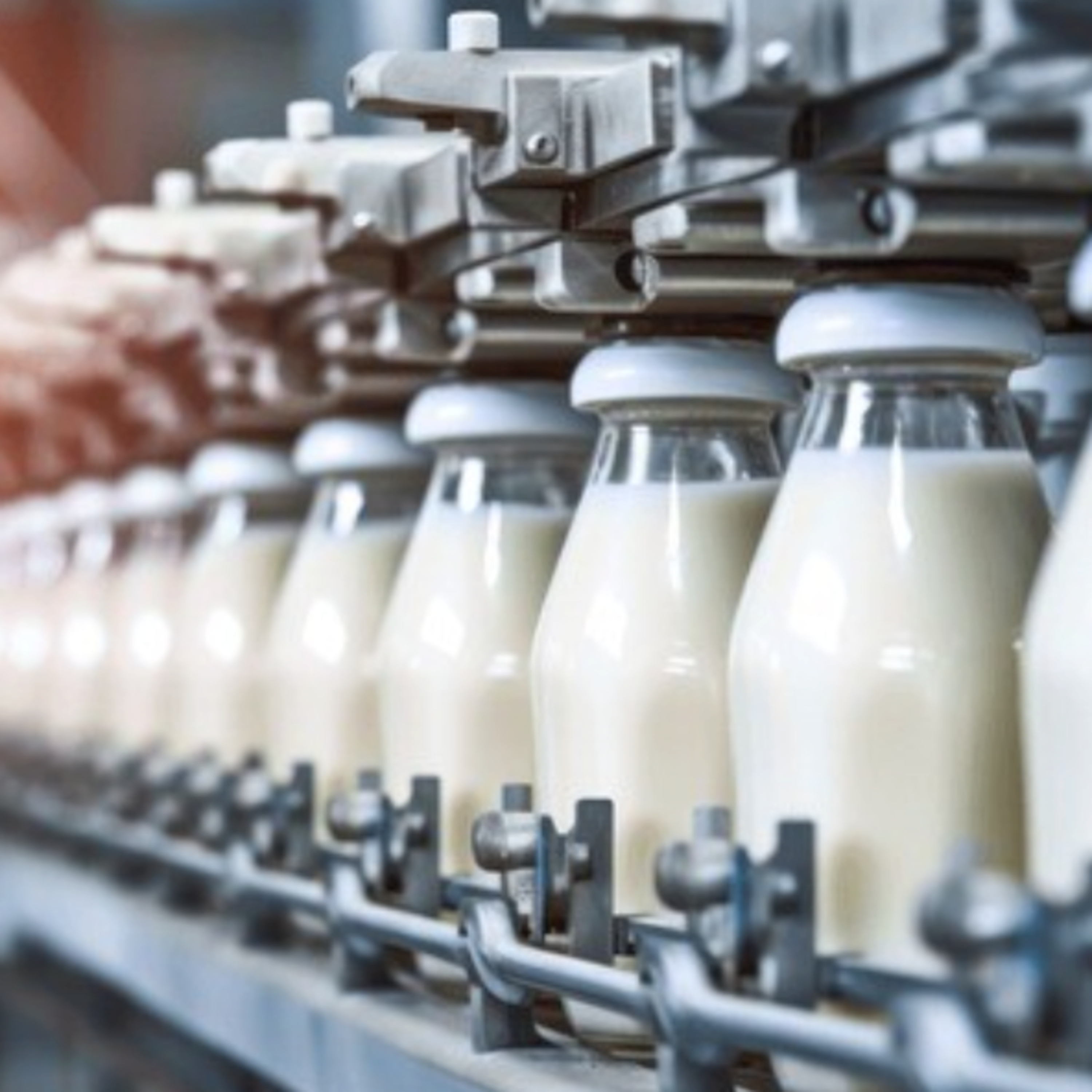 Got Milk? - The Indian Dairy Context.