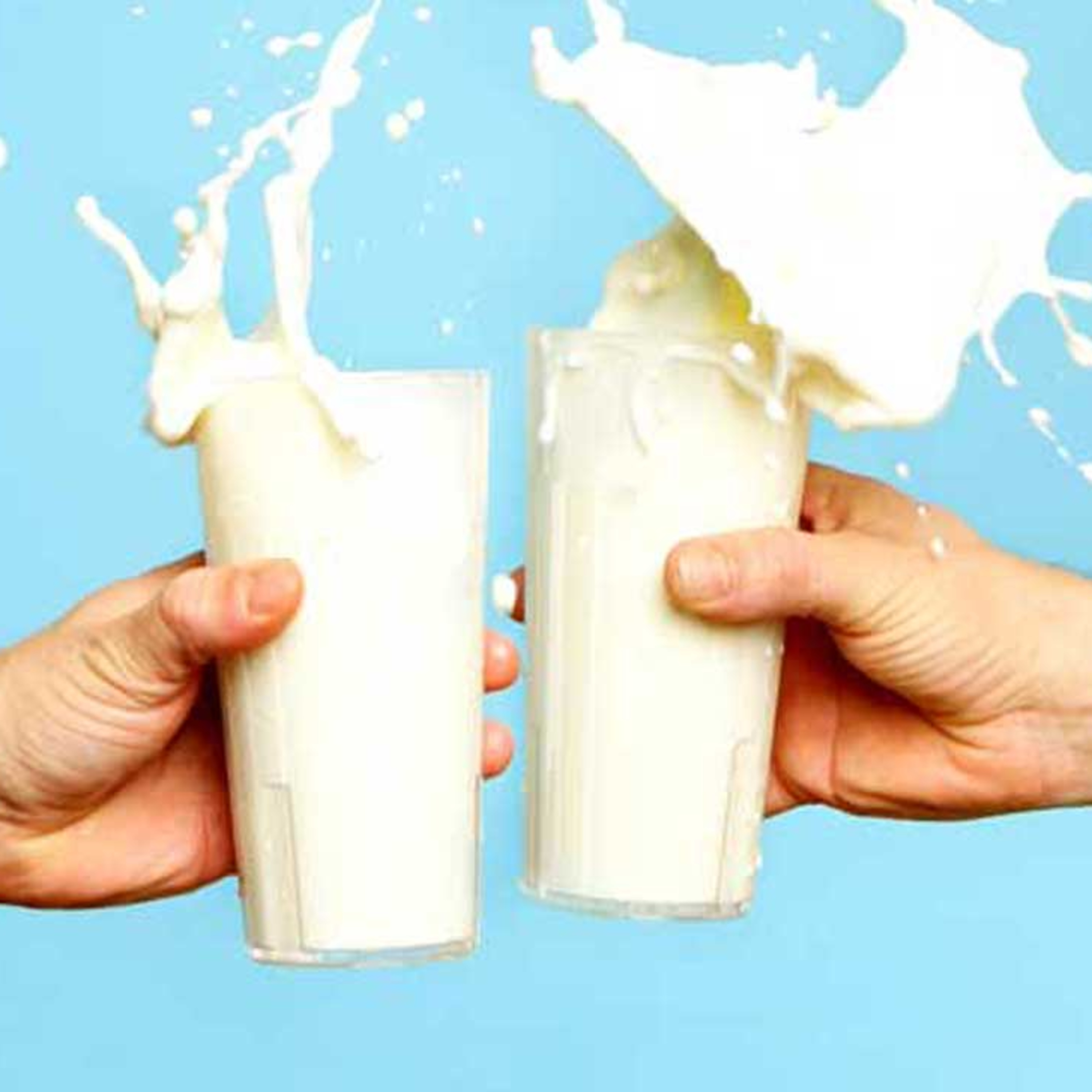 Got Milk? - The Indian Dairy Context.