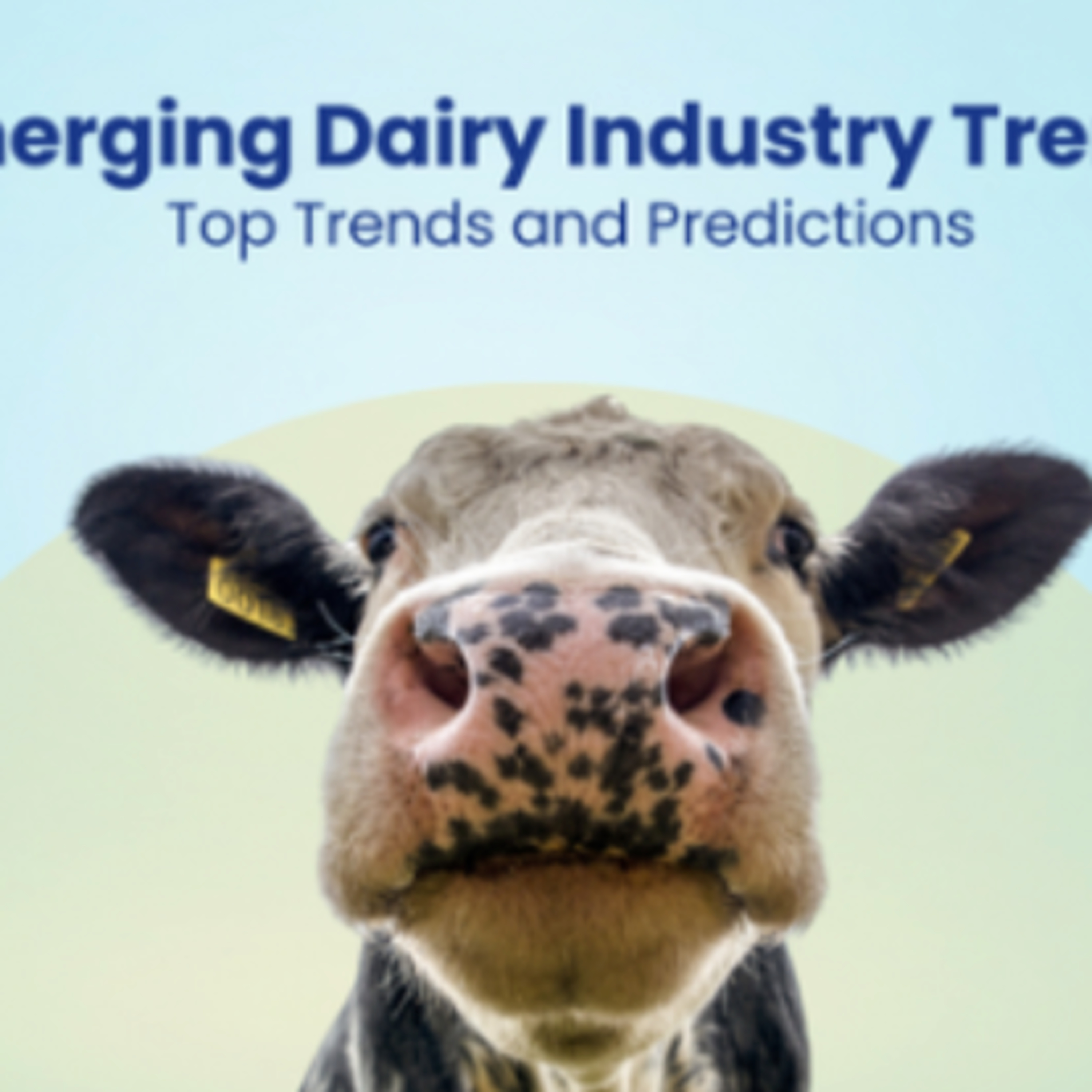 Got Milk? - The Indian Dairy Context.