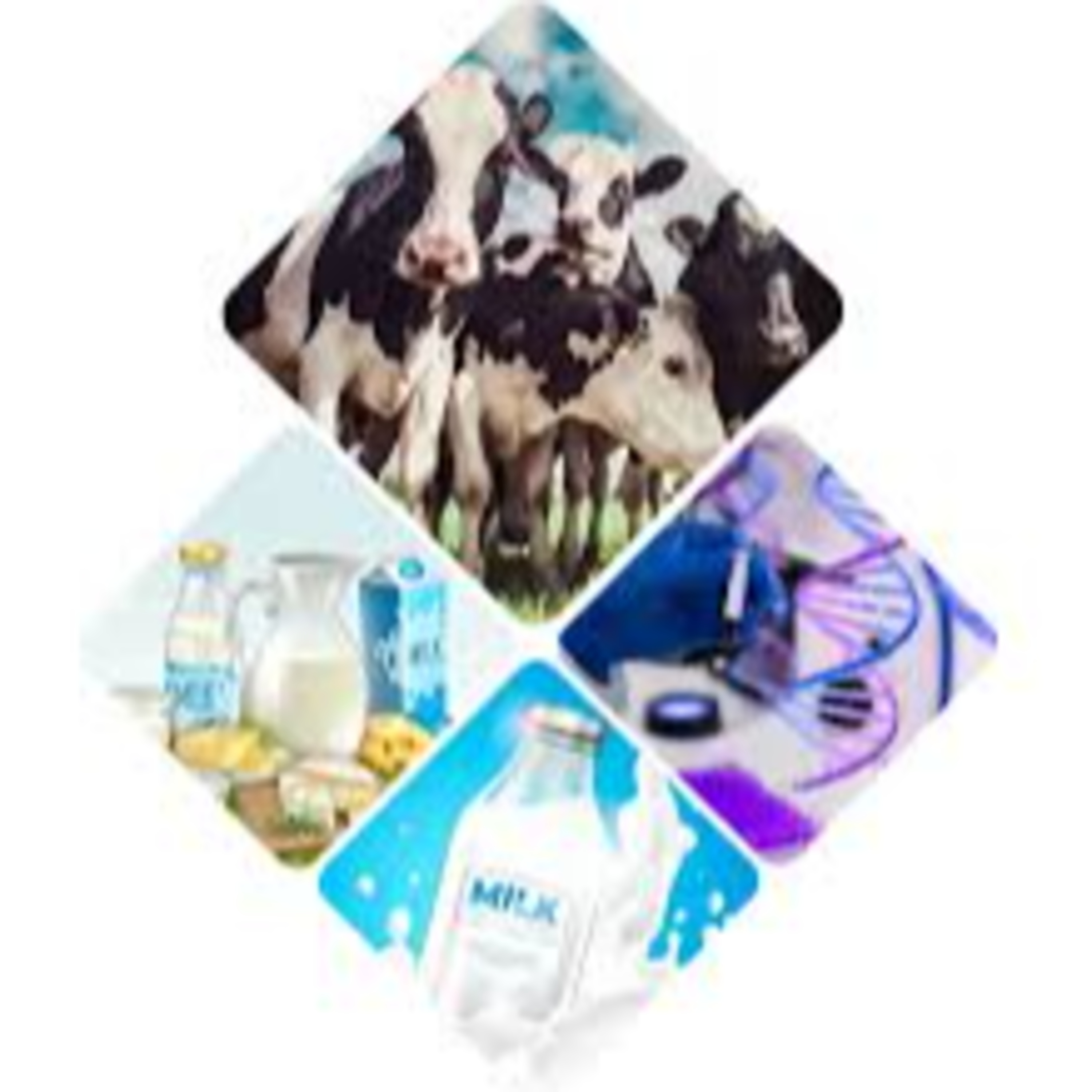 Got Milk? - The Indian Dairy Context.