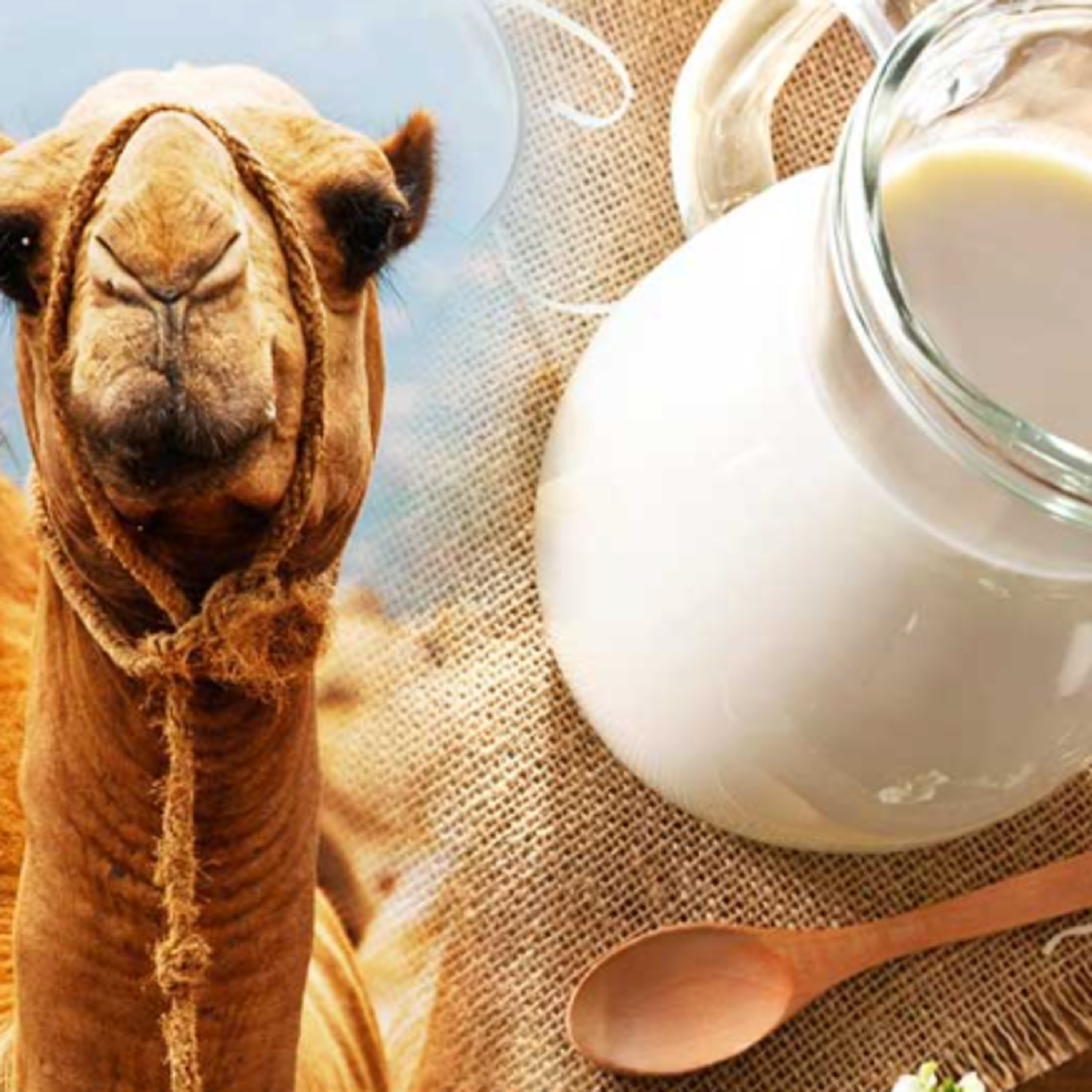 Got Milk? - The Indian Dairy Context.