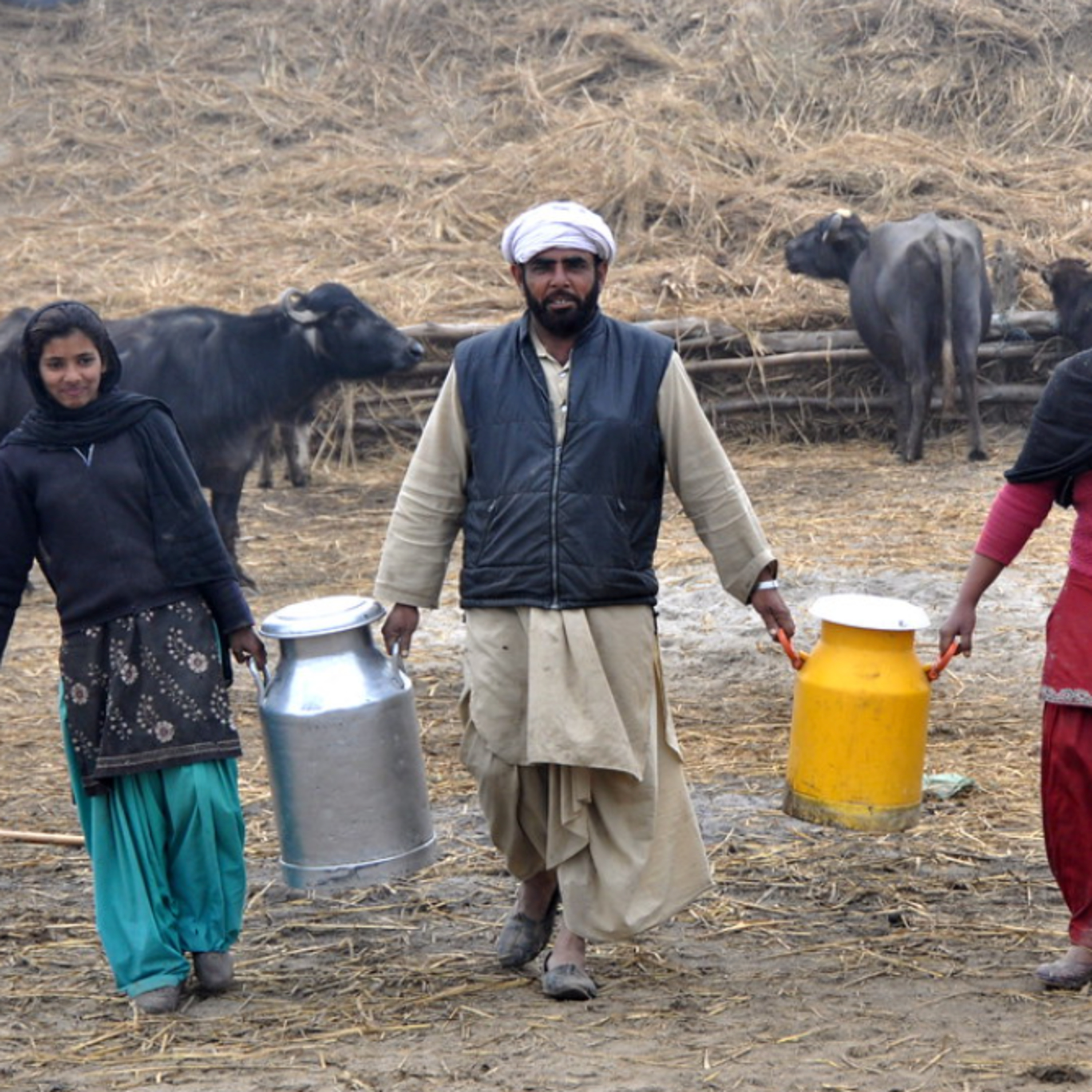 Got Milk? - The Indian Dairy Context.