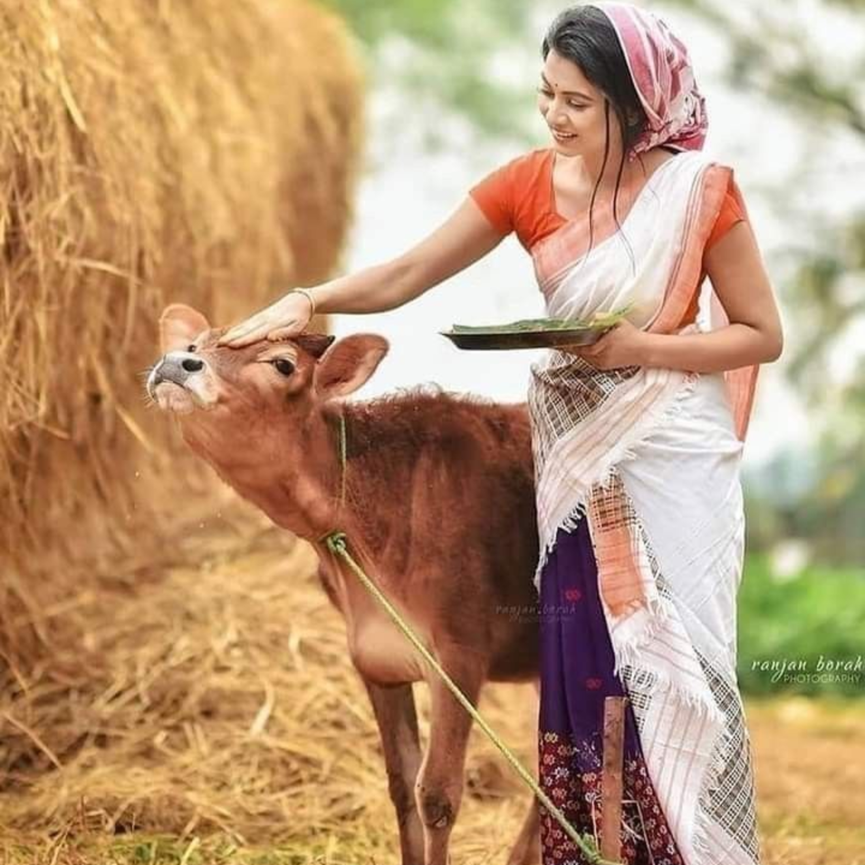 Got Milk? - The Indian Dairy Context.