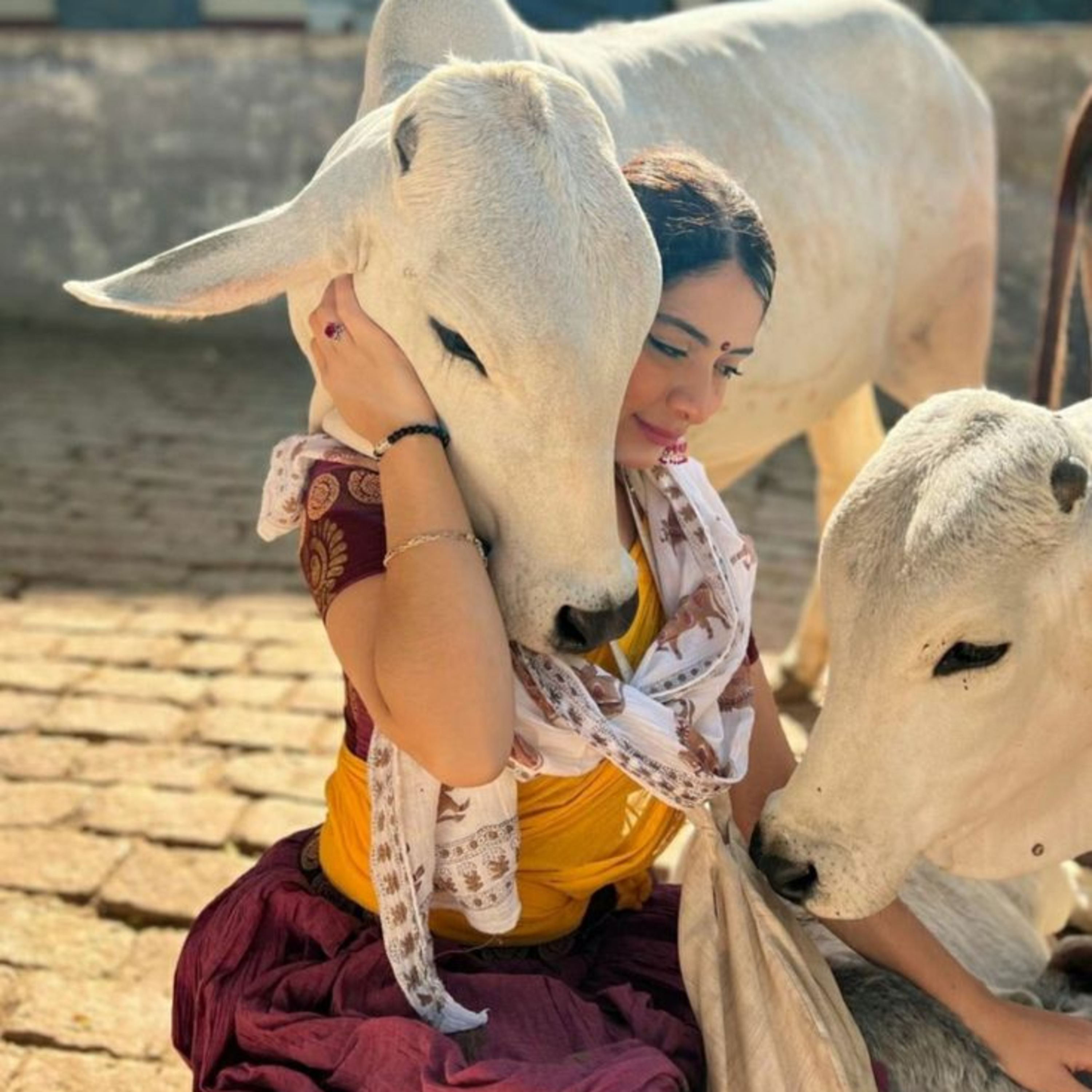 Got Milk? - The Indian Dairy Context.