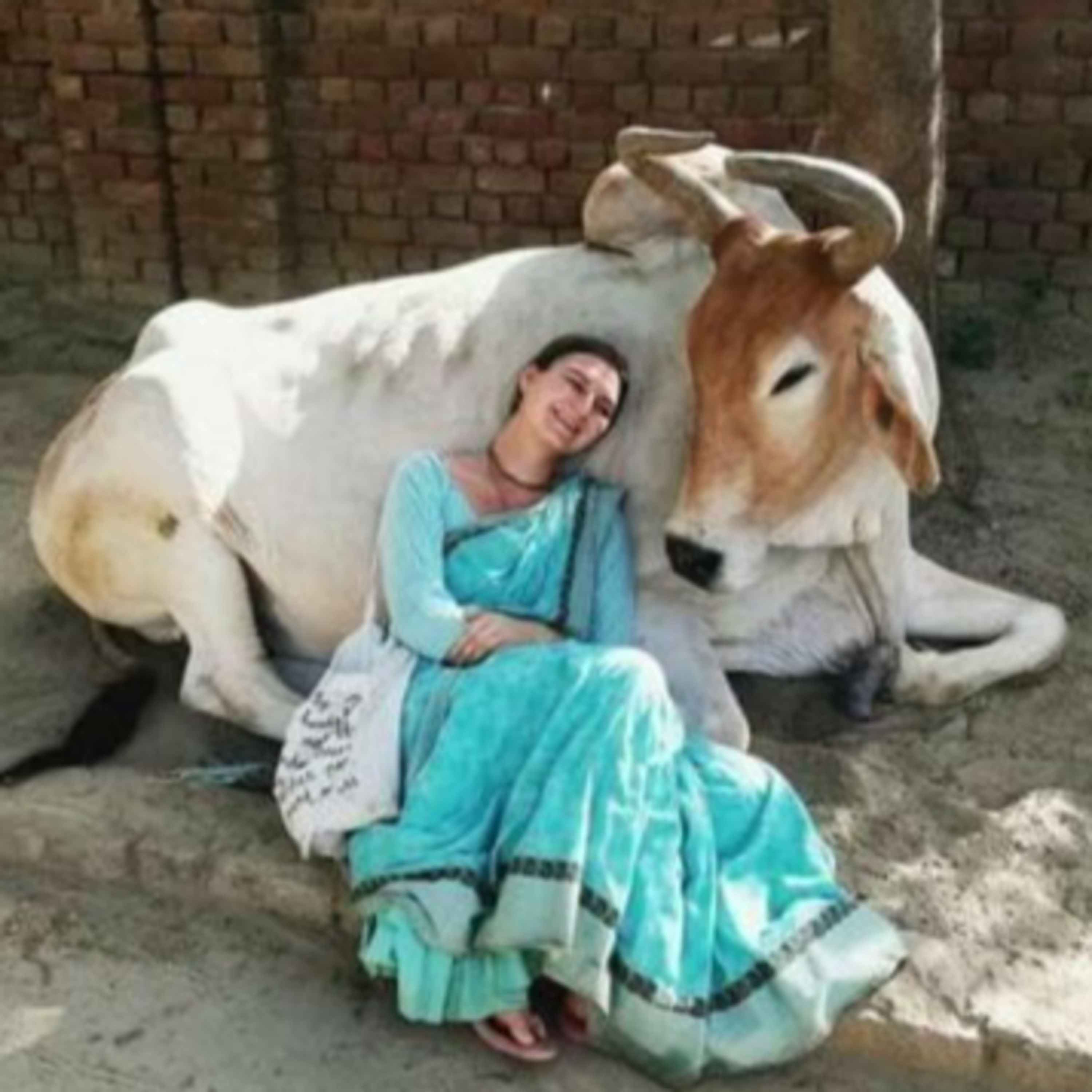 Got Milk? - The Indian Dairy Context.