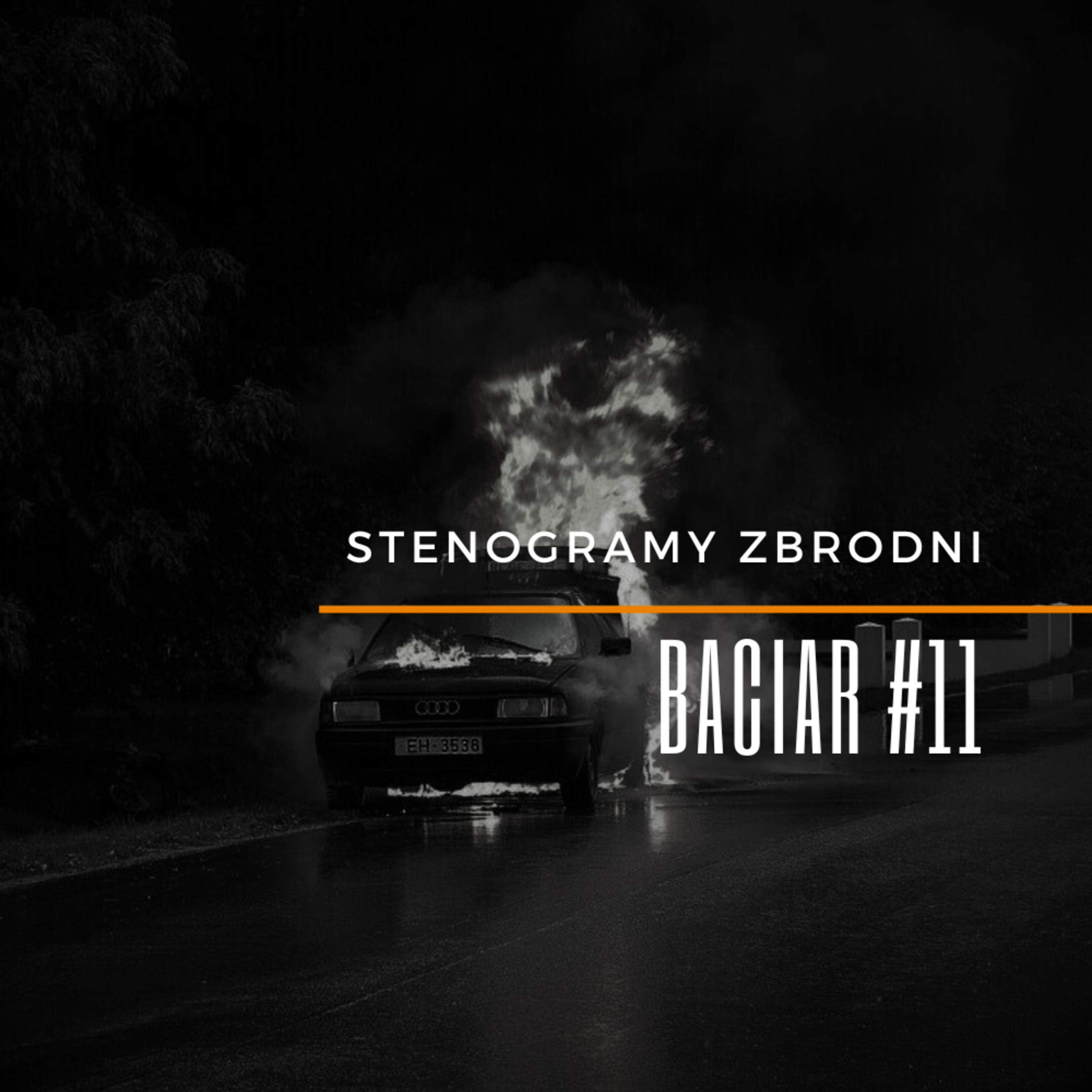 BACIAR #11 - kryminał, podcast, słuchowisko, antykryminał episode artwork