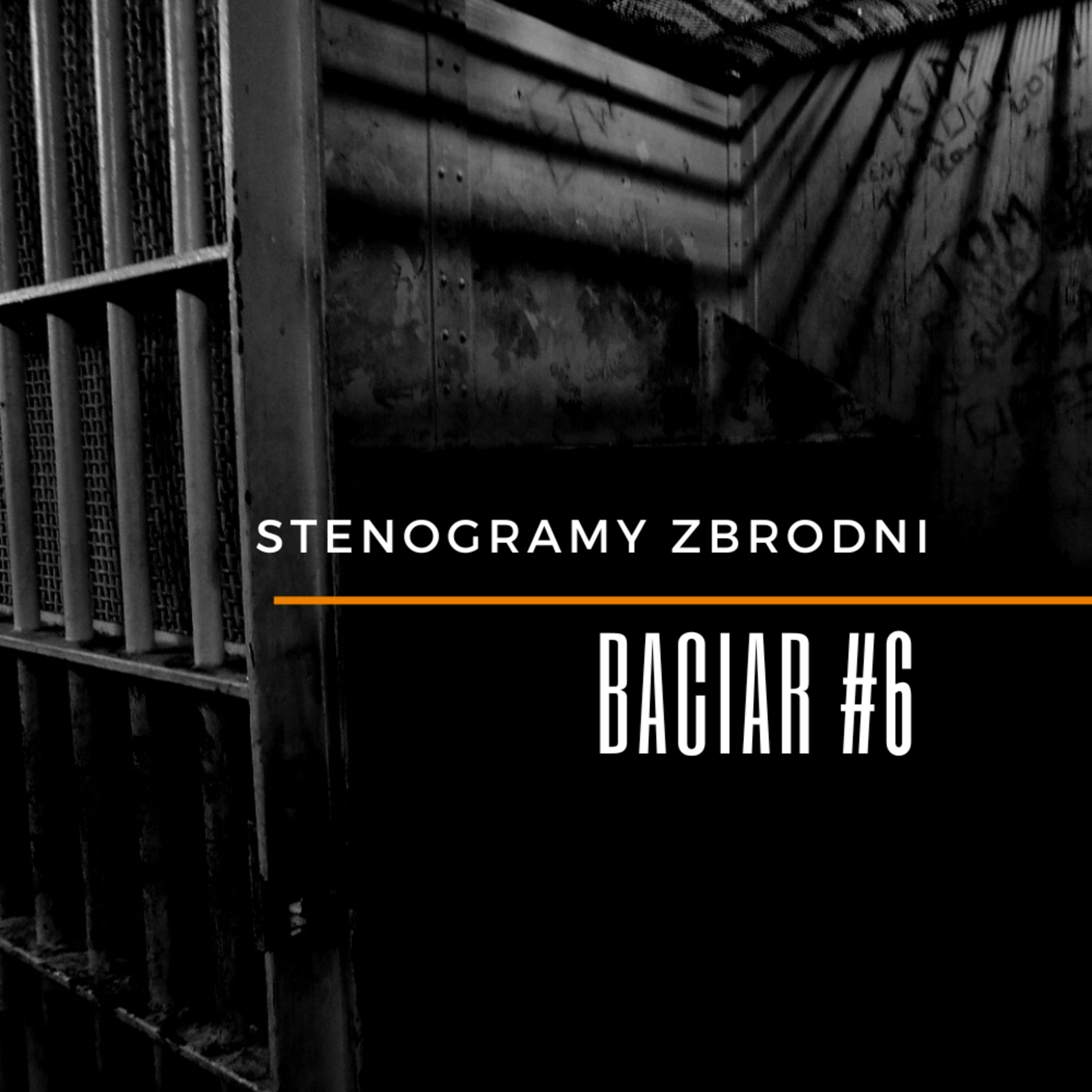 BACIAR #6 - kryminał, podcast, słuchowisko, antykryminał episode artwork