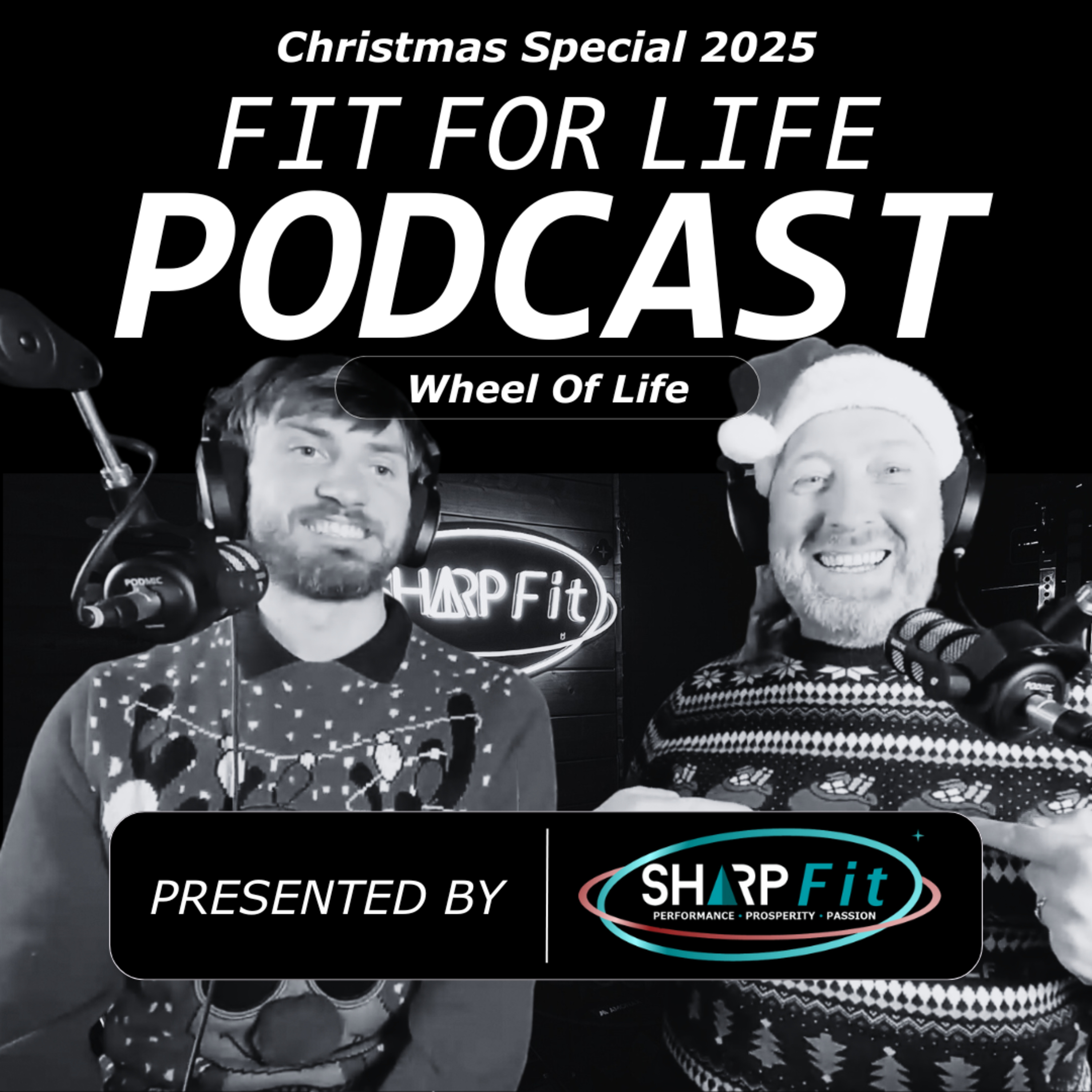How to Plan 2026 Using the Wheel of Life Framework | Health, Work & Longevity I Christmas Special episode artwork