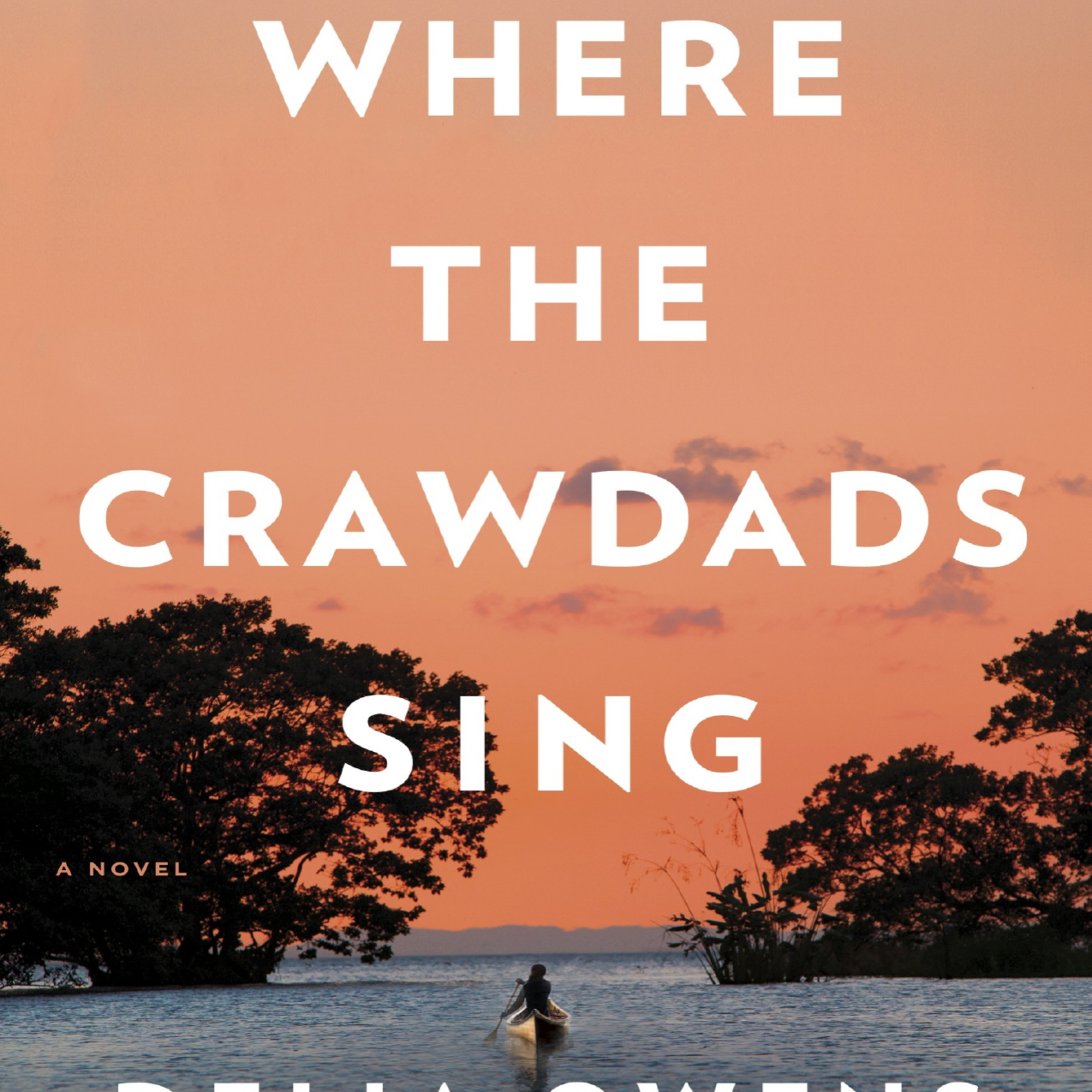 🌿 Deep Dive Podcast: Where the Crawdads Sing - Delia Owens 🎶🦢 episode artwork