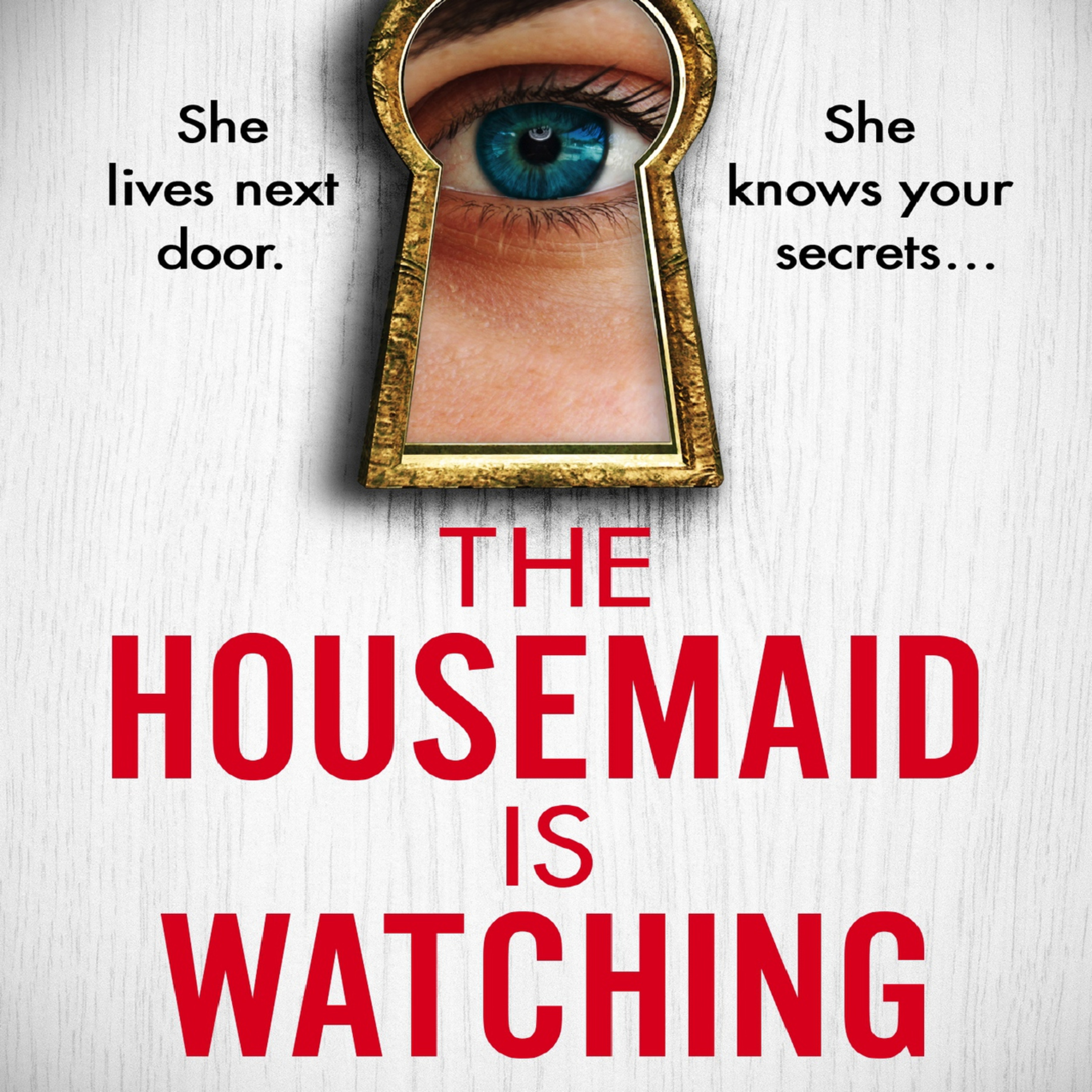 👀🛏️ Deep Dive Podcast: The Housemaid Is Watching - A Psychological Thriller by Freida McFadden 🔪📖 episode artwork
