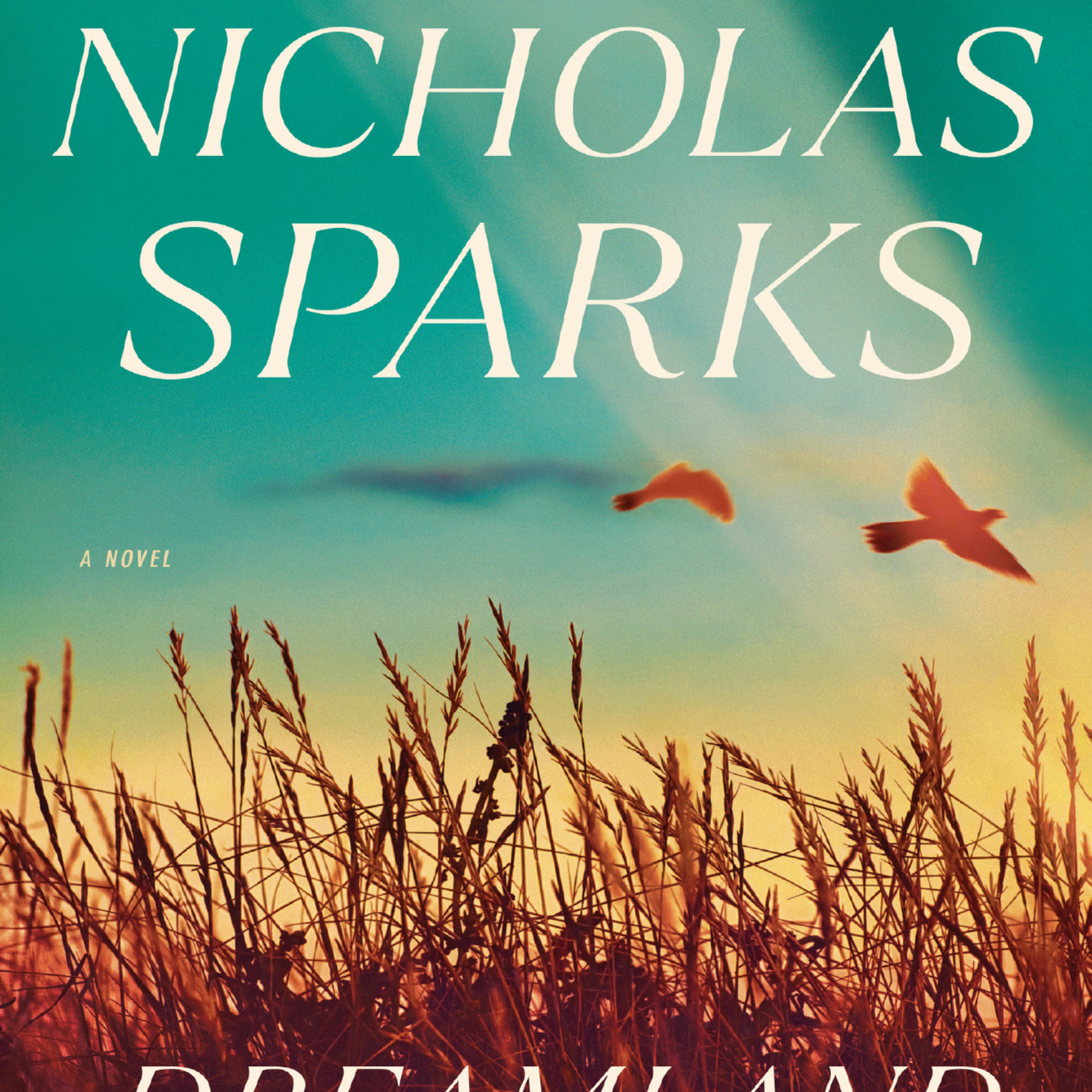 💭✨ Deep Dive Podcast: Dreamland – A Romantic Journey by Nicholas Sparks 🌊❤️ episode artwork