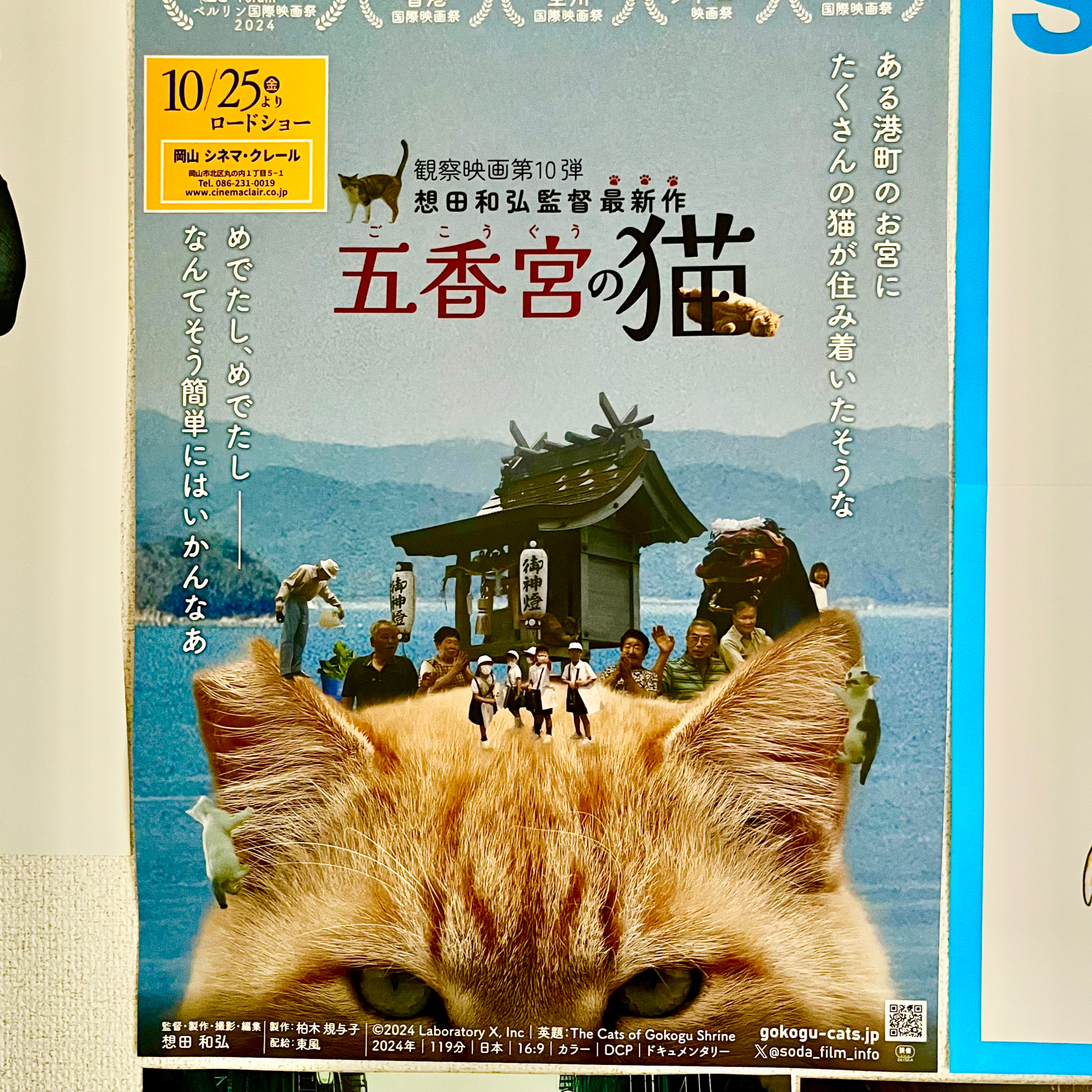 #23「五香宮の猫」レビュー episode artwork
