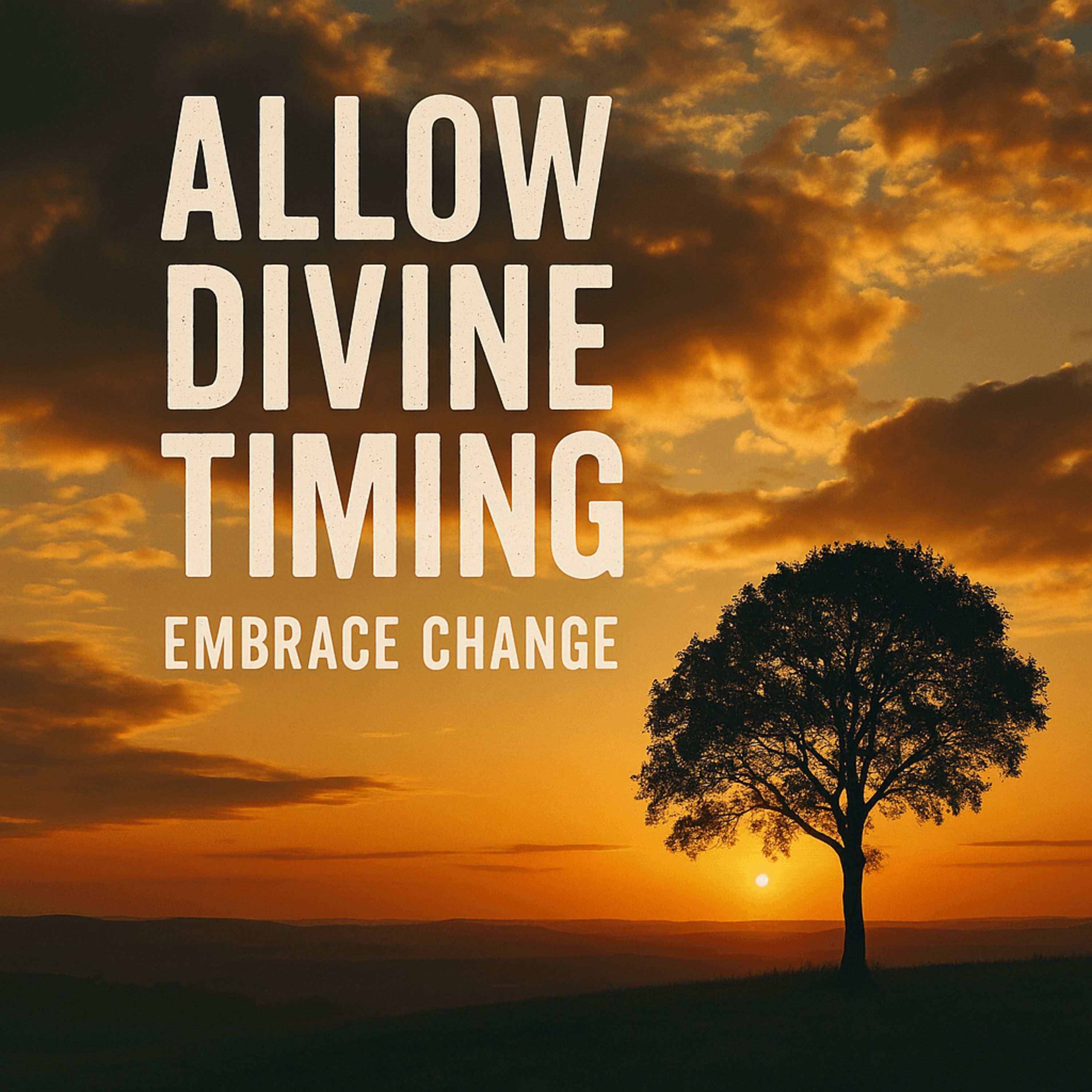 ✨The Surprising Power of Allowing Divine Timing to Bring Your Blessings