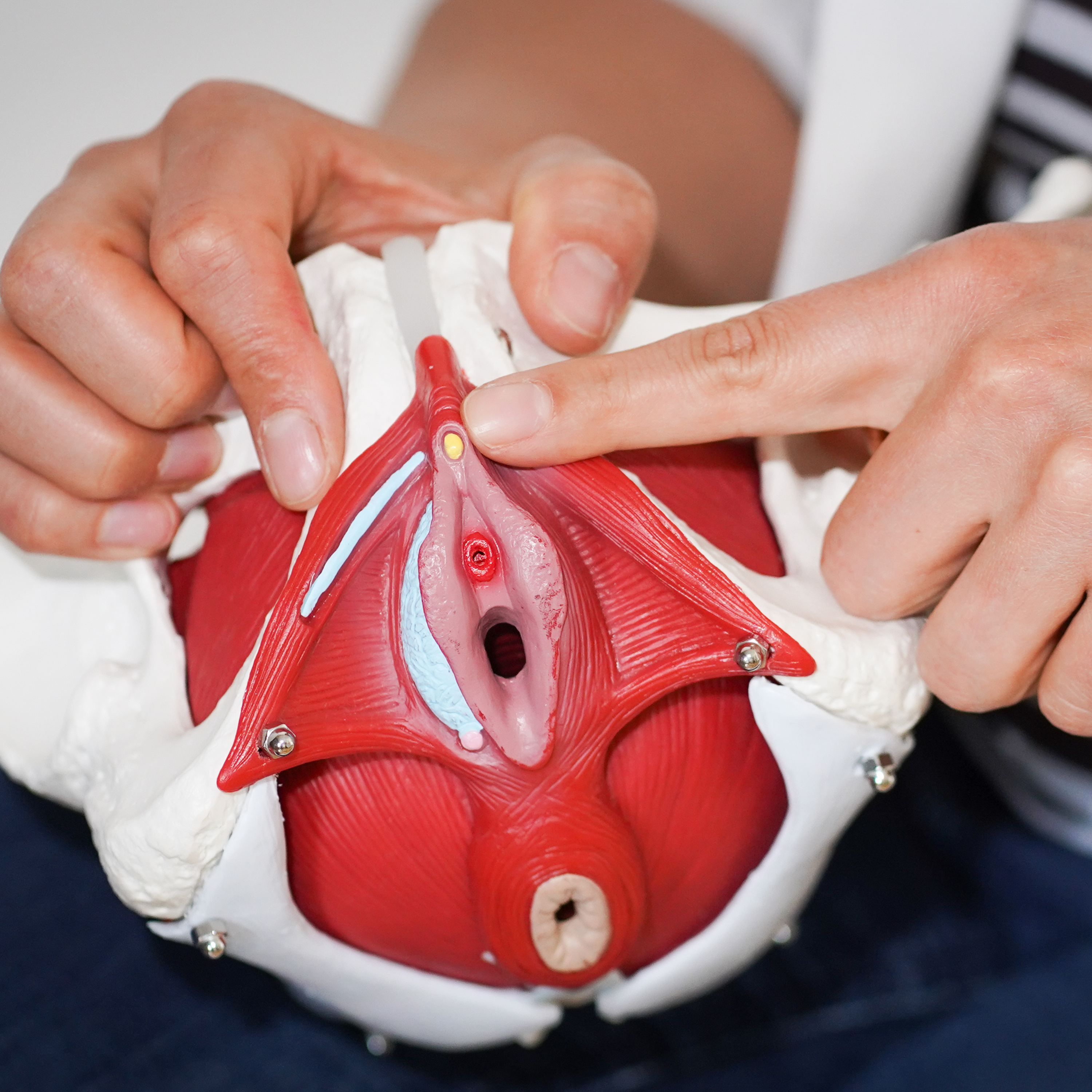 Orgasmen die heilen - Beckenbodentraining mit Spaß