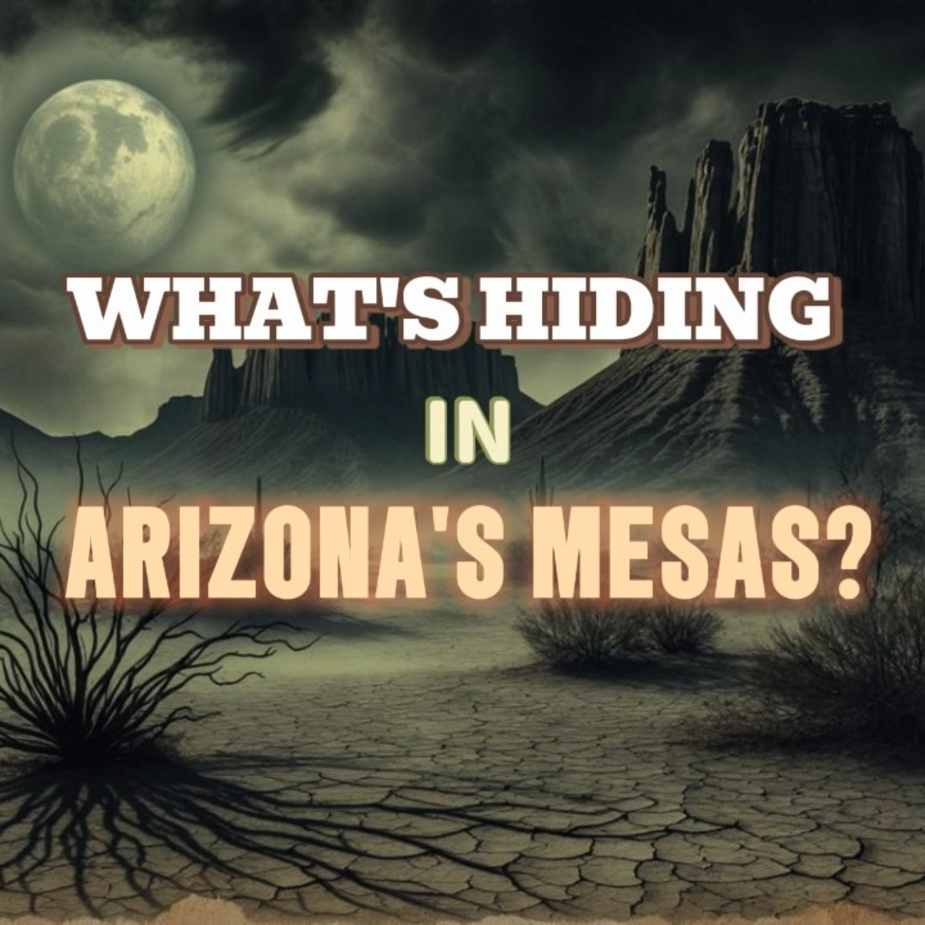 You Won't Believe the Strange Creatures Roaming Arizona's Desert