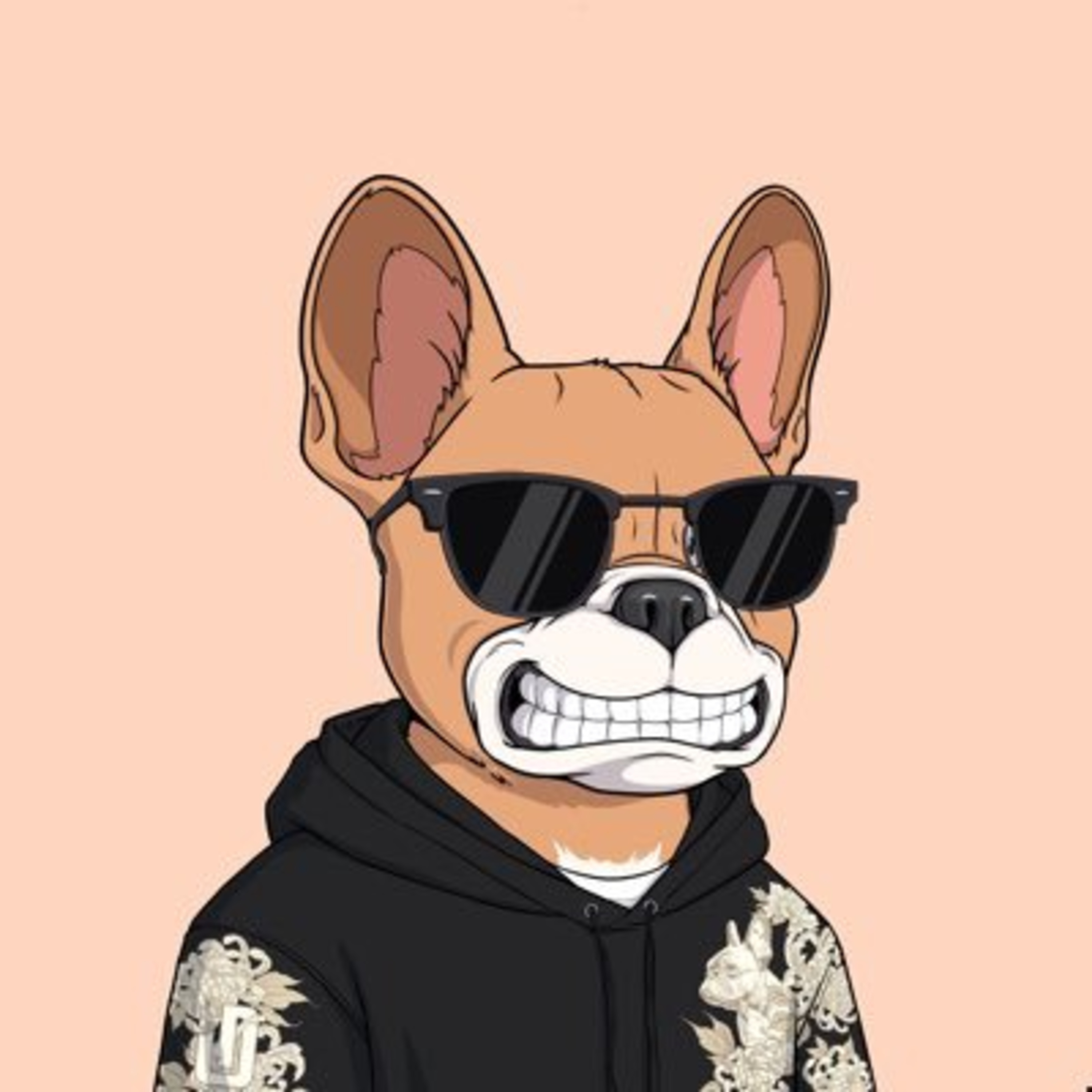 The MikeyG Podcast Experience