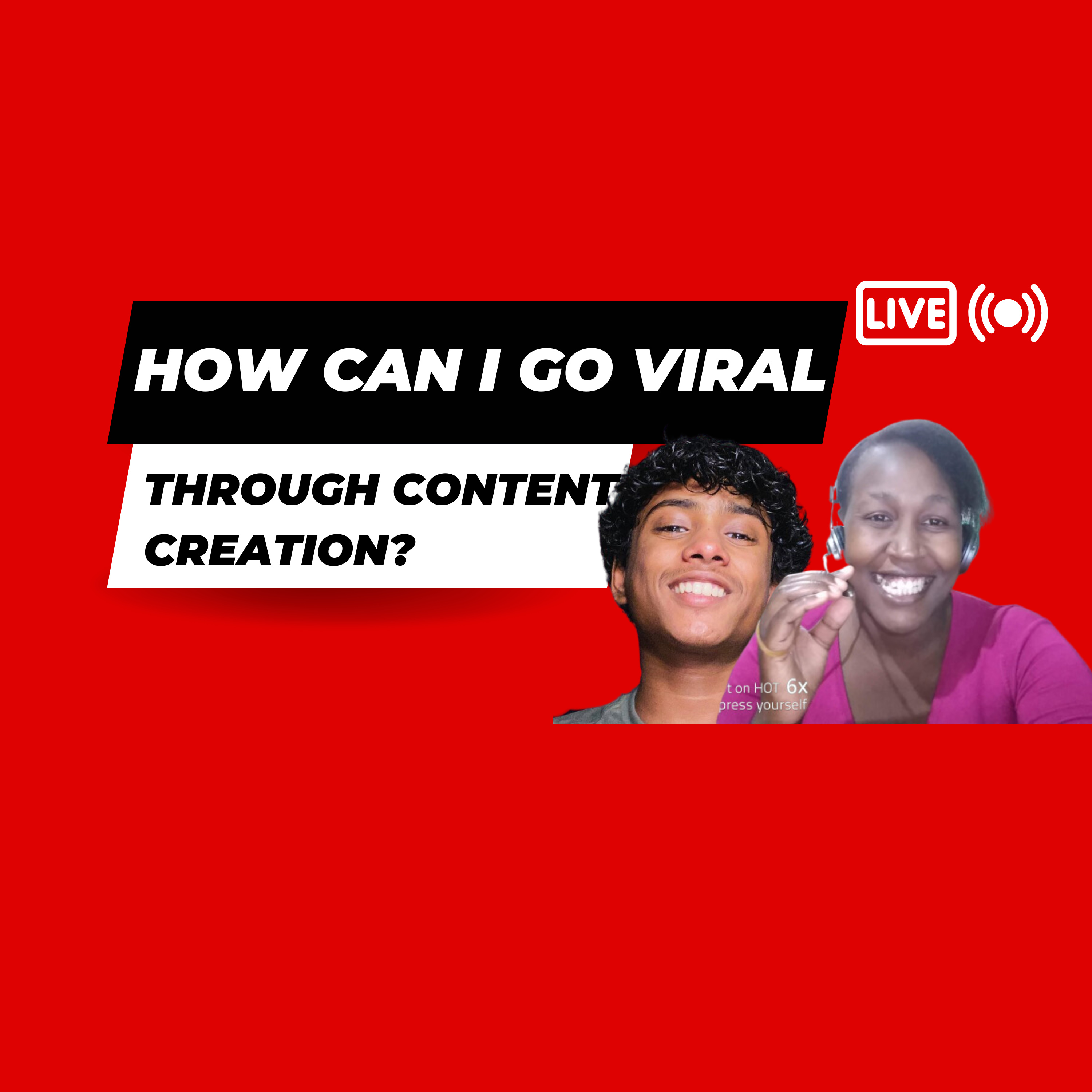 The Freelancer\'s Mic