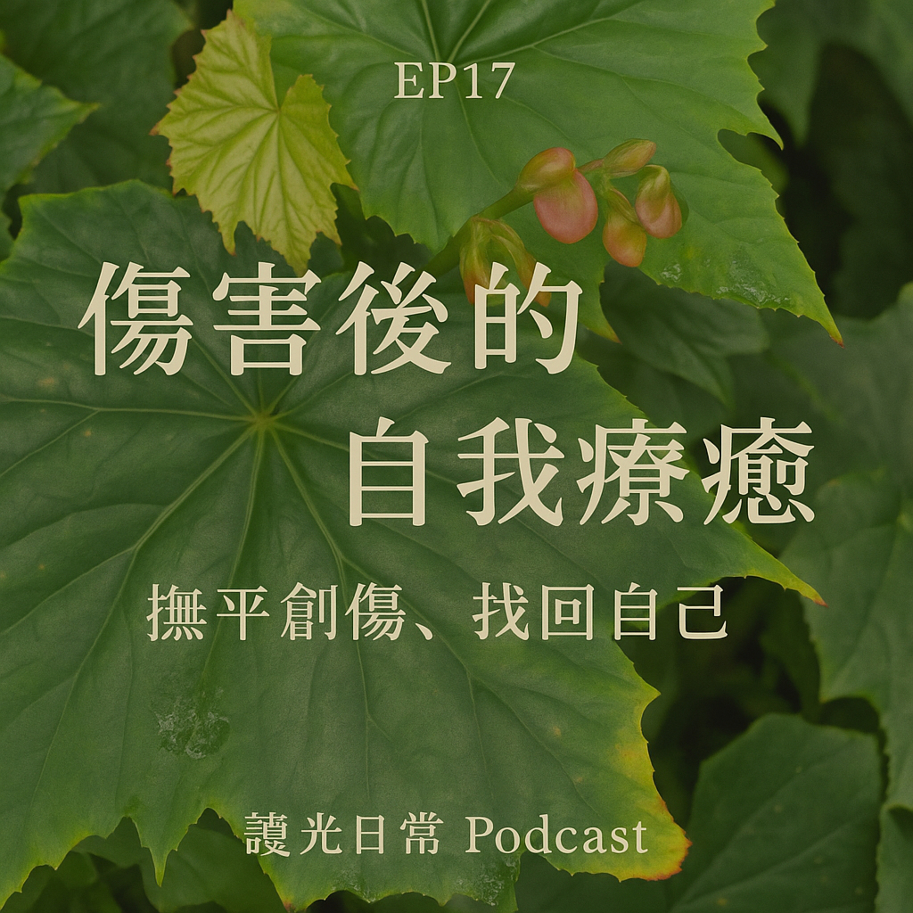 Ep17《傷害後的自我療癒：撫平創傷，找回自己》 episode artwork