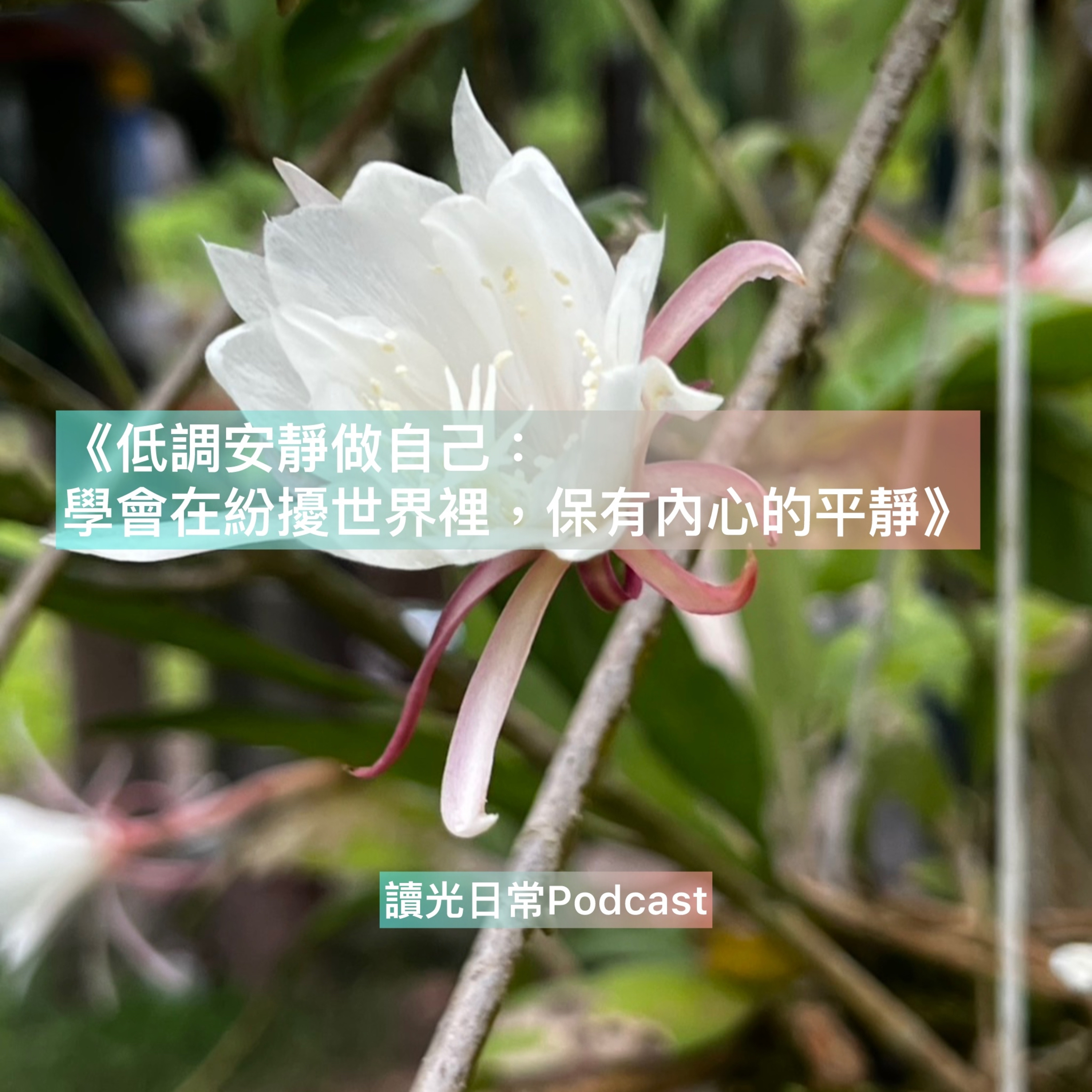 Ep114 《低調安靜做自己：學會在紛擾世界裡，保有內心的平靜》 episode artwork