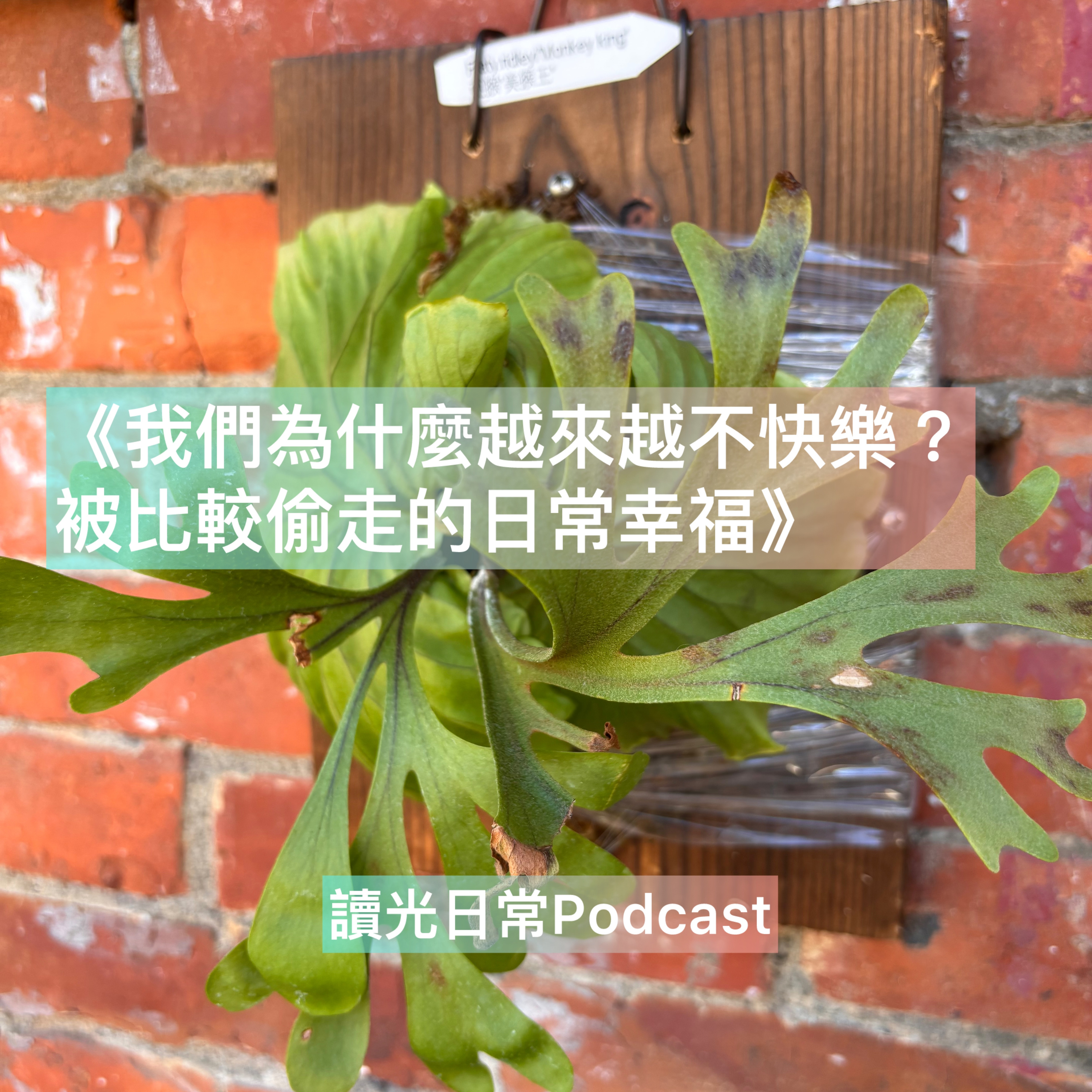 Ep120 🎧 《我們為什麼越來越不快樂？——被比較偷走的日常幸福》 episode artwork