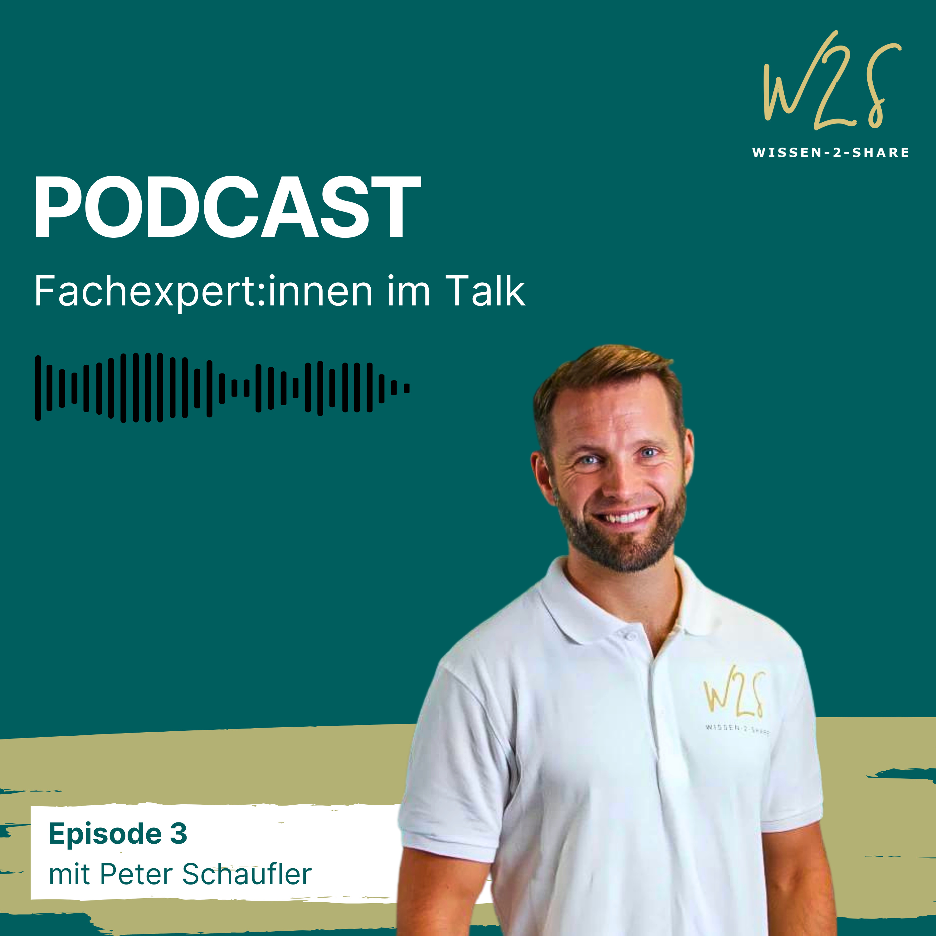 Episode 03 - Peter Schaufler episode artwork
