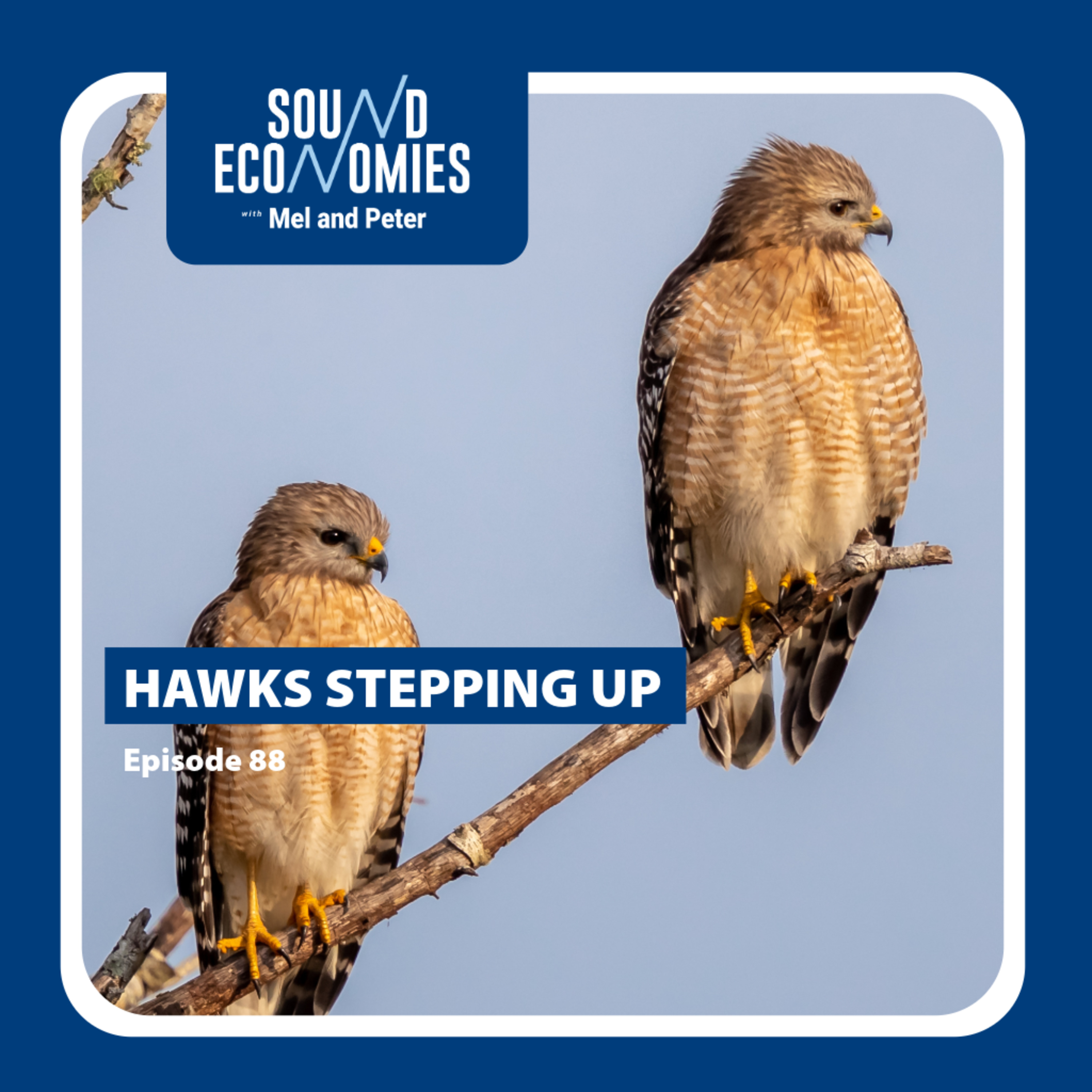Hawks stepping up – Sound Economies with Mel & Peter, 18 June 2026 episode artwork