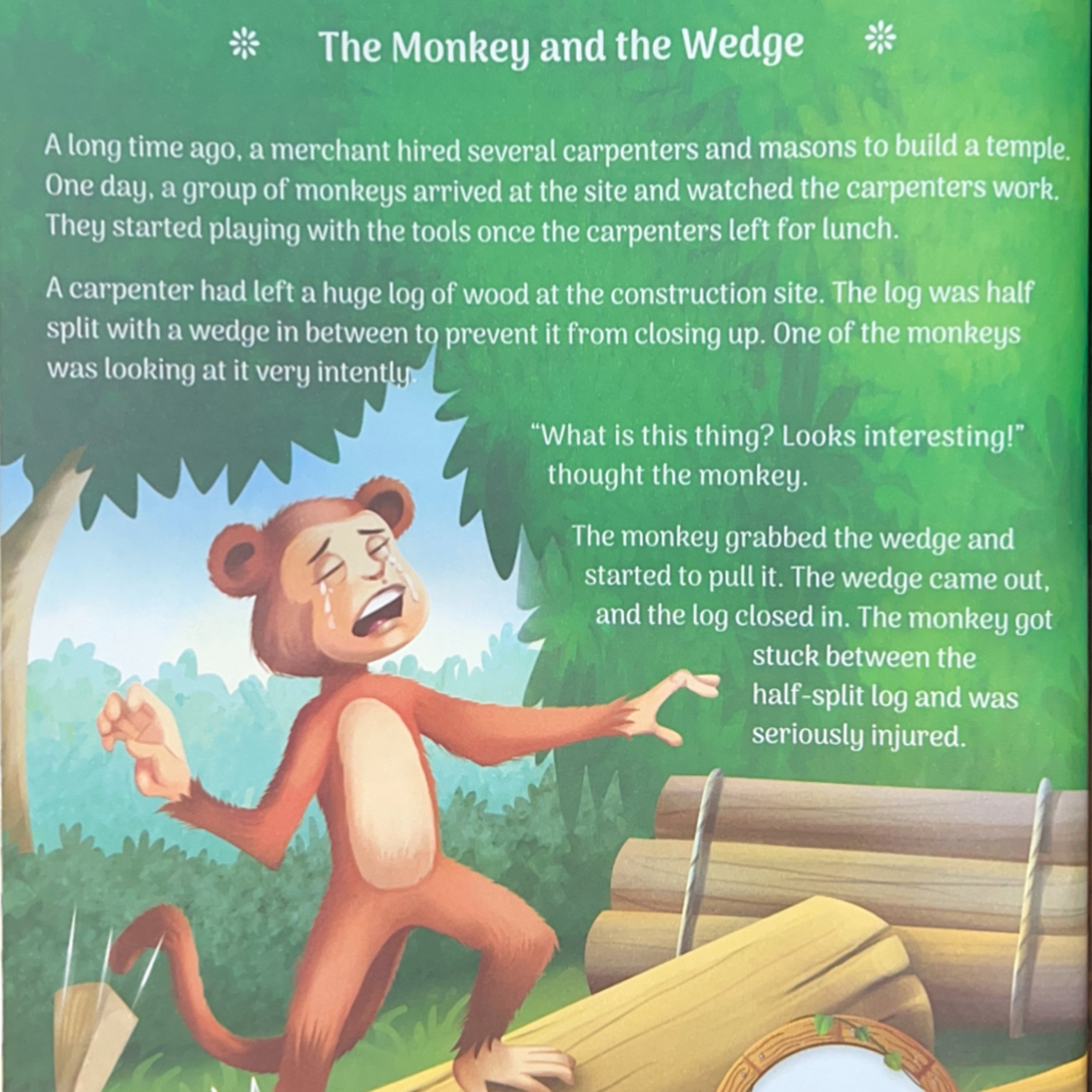 The Monkey and the Wedge episode artwork