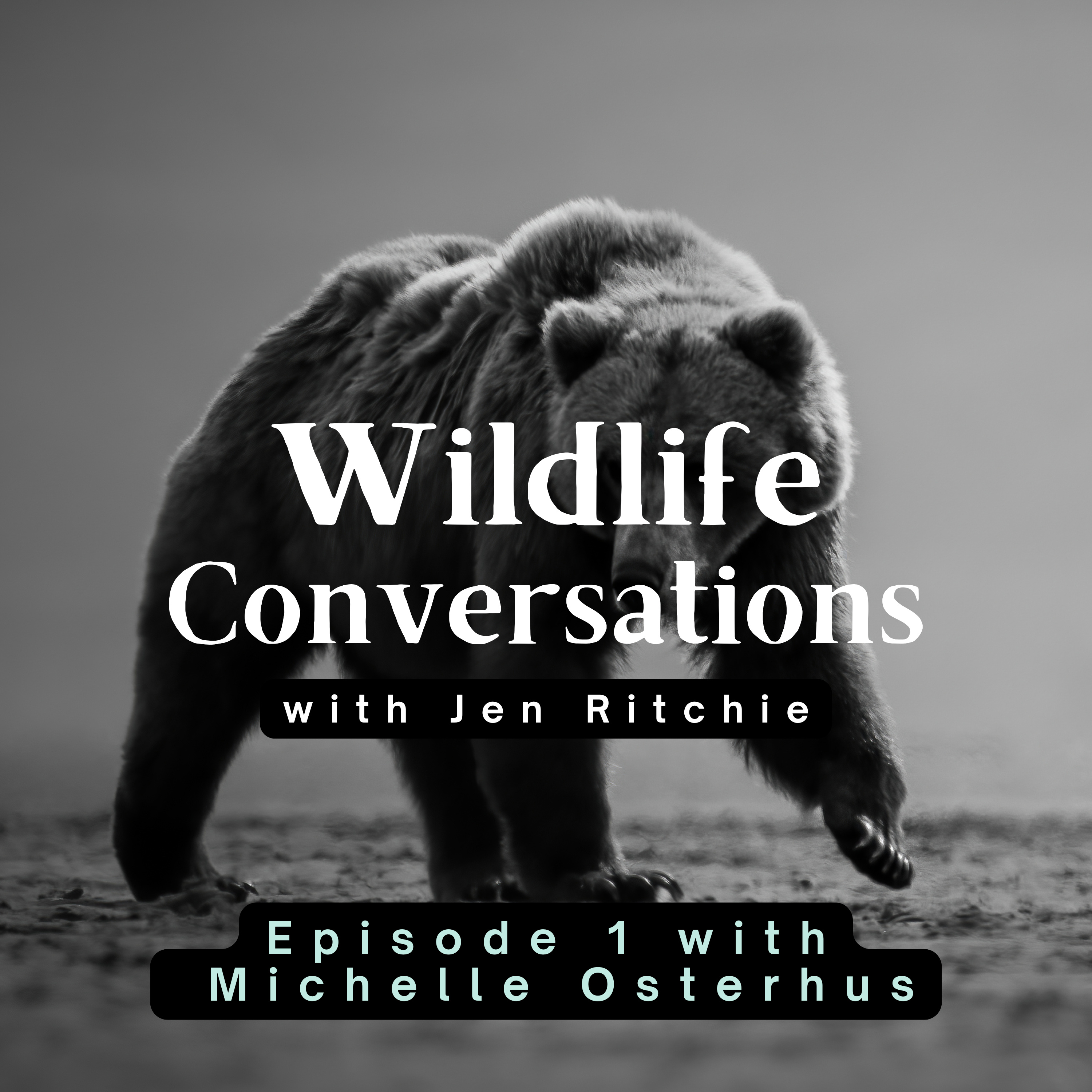 Wildlife Conversations with Jen Ritchie