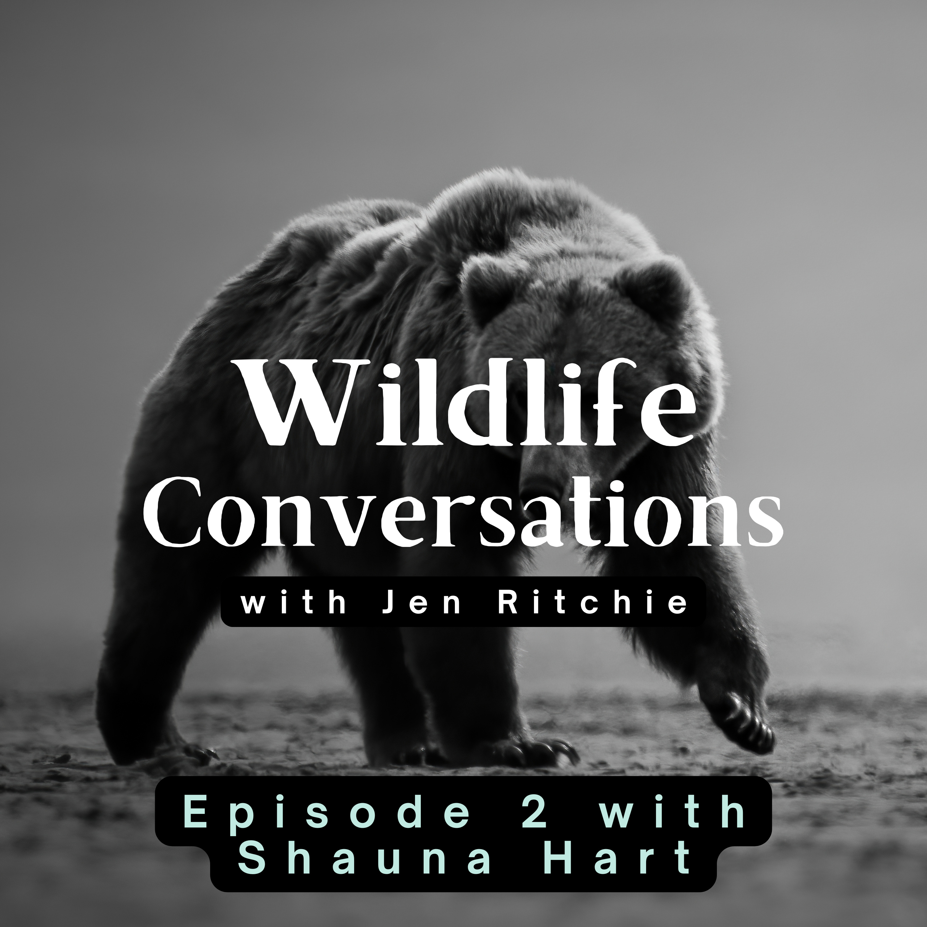Wildlife Conversations with Jen Ritchie
