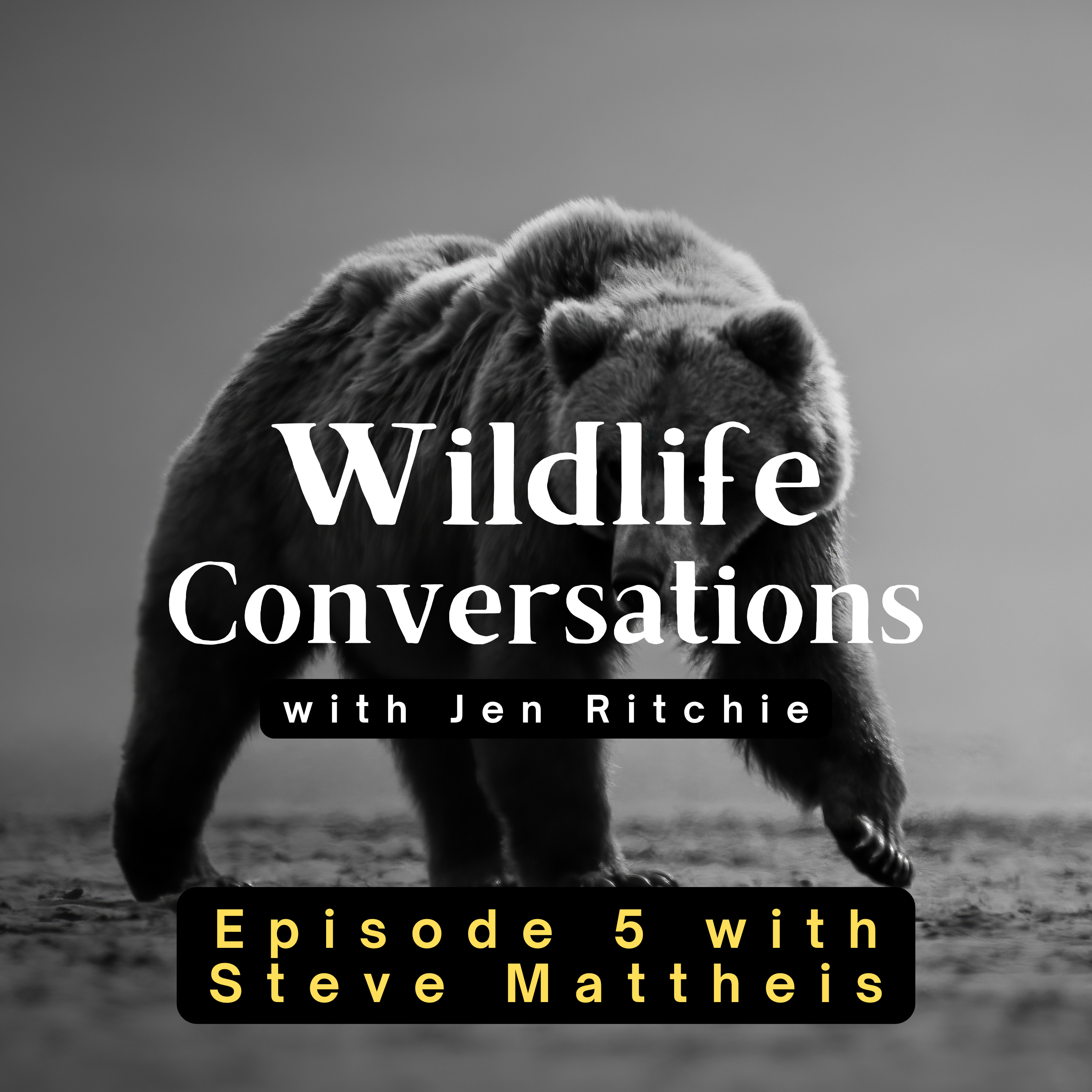 Wildlife Conversations with Jen Ritchie