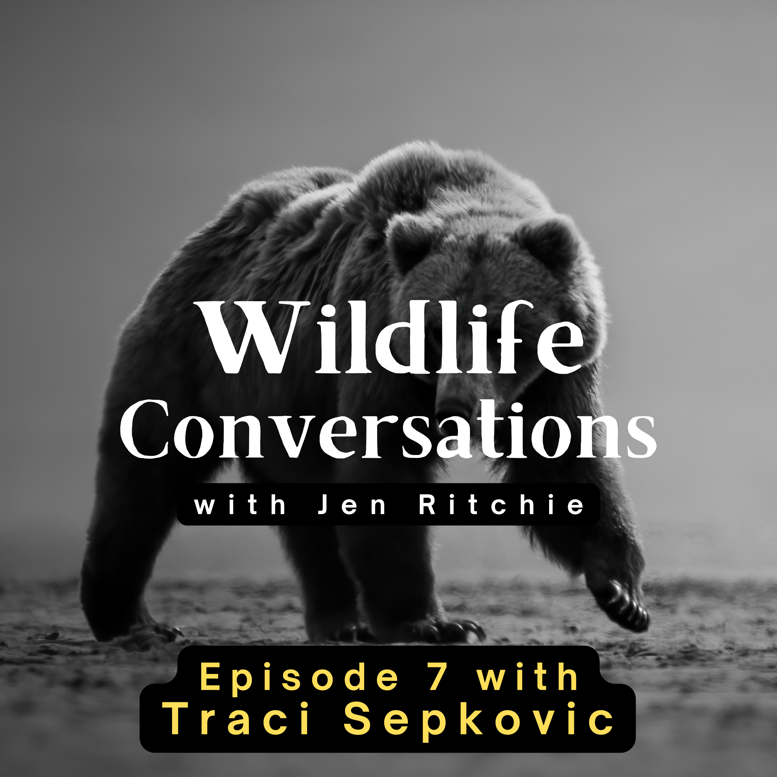 Wildlife Conversations with Jen Ritchie