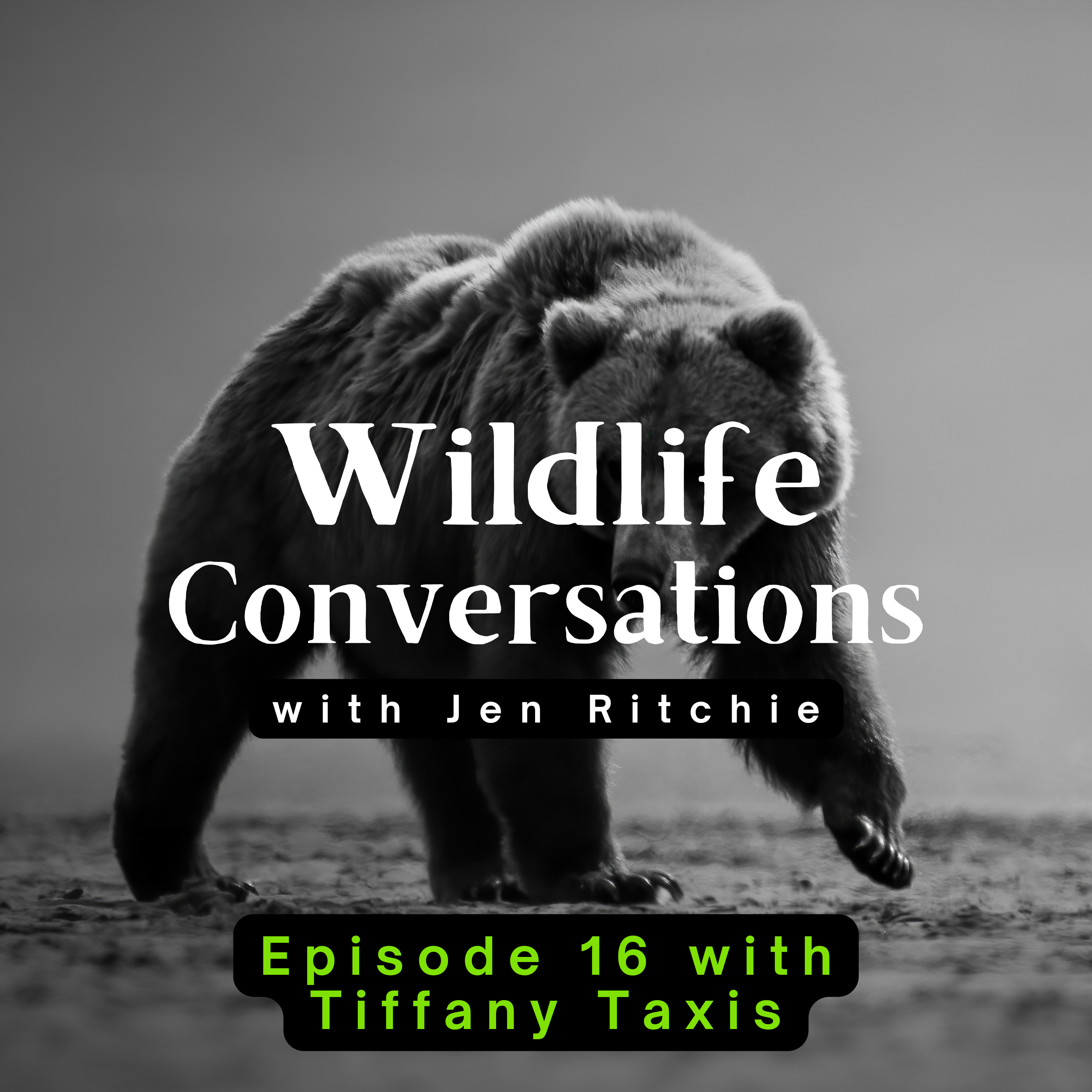 Wildlife Conversations with Jen Ritchie