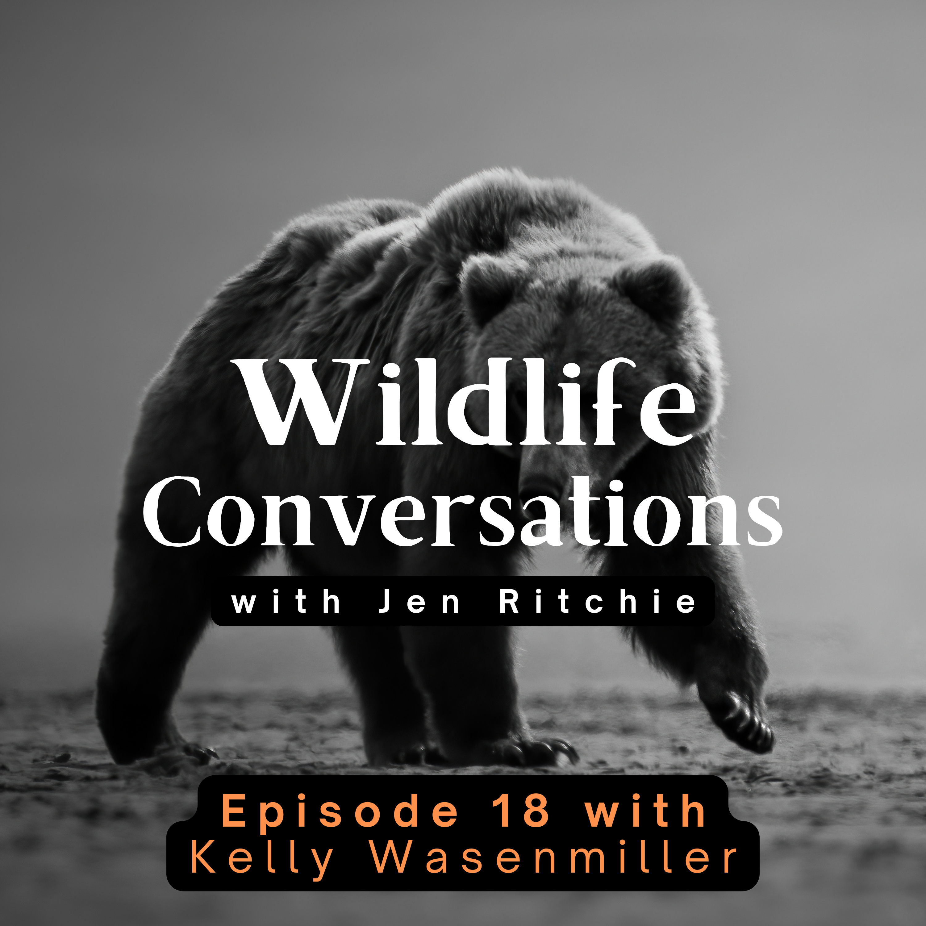 Wildlife Conversations with Jen Ritchie