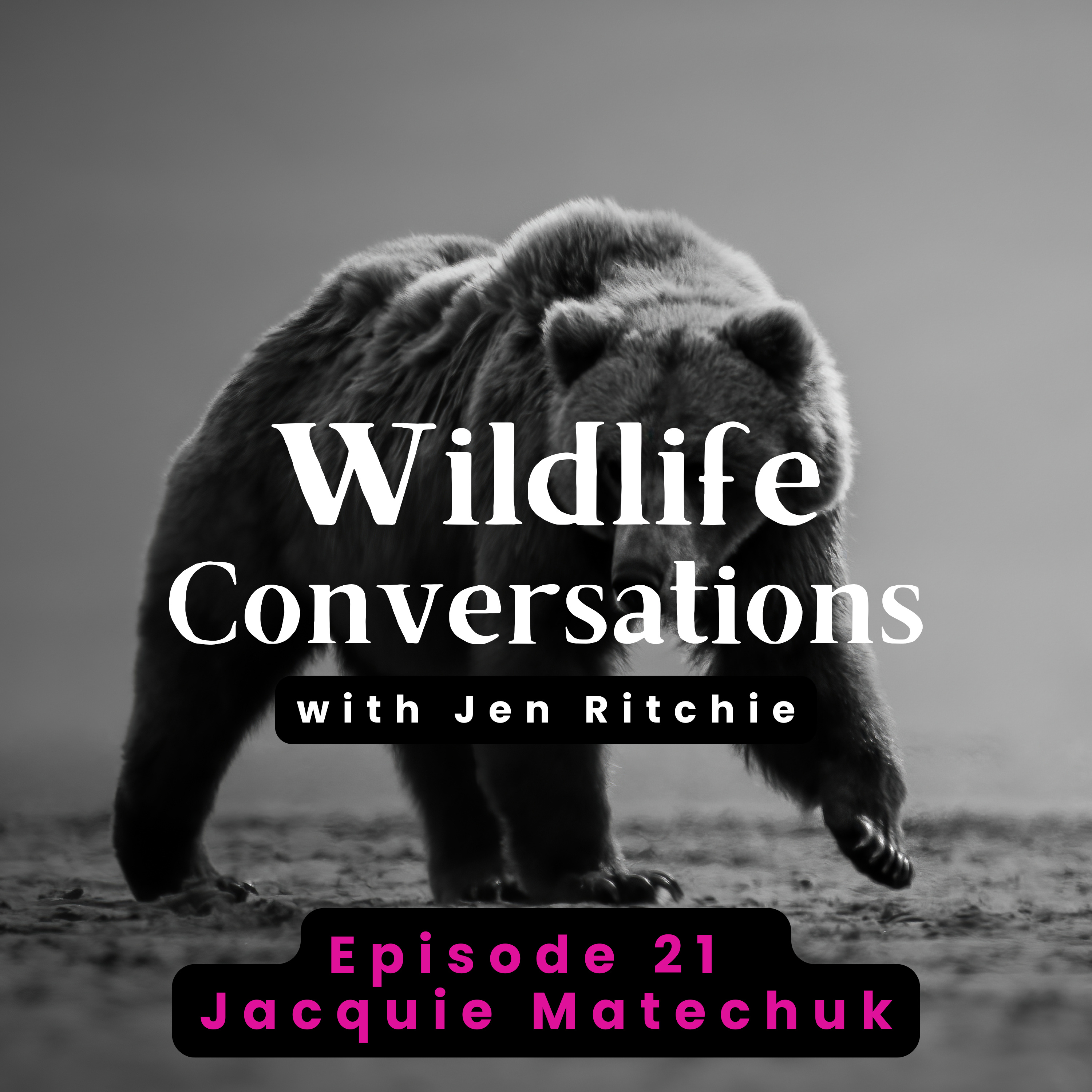 Wildlife Conversations with Jen Ritchie