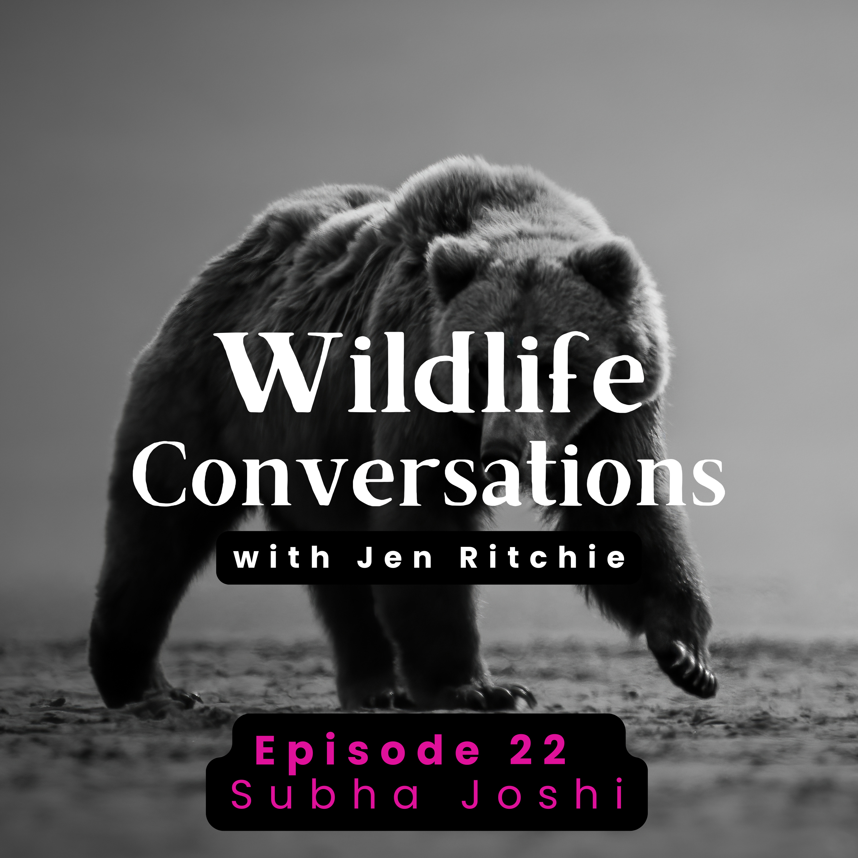 Wildlife Conversations with Jen Ritchie