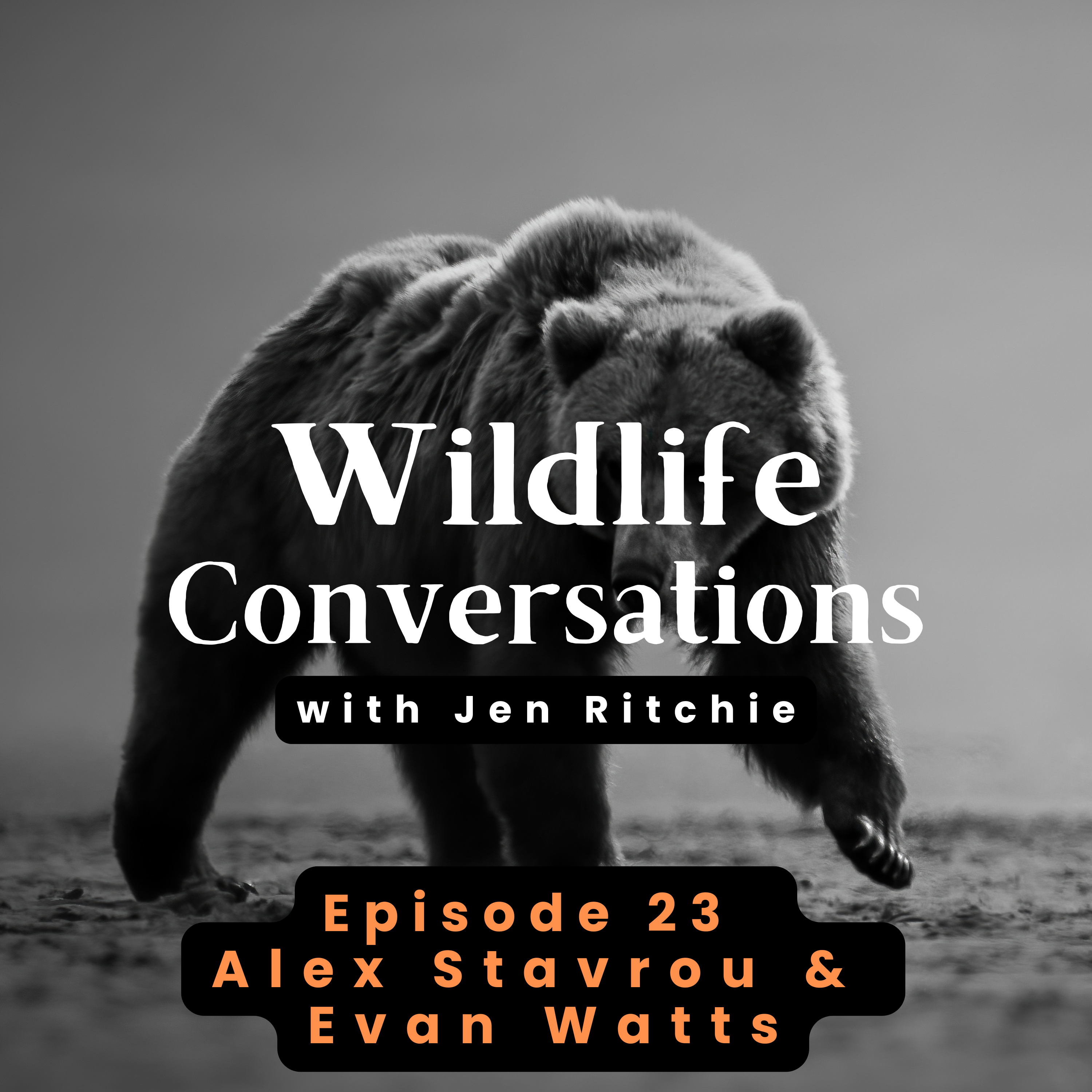 Wildlife Conversations with Jen Ritchie