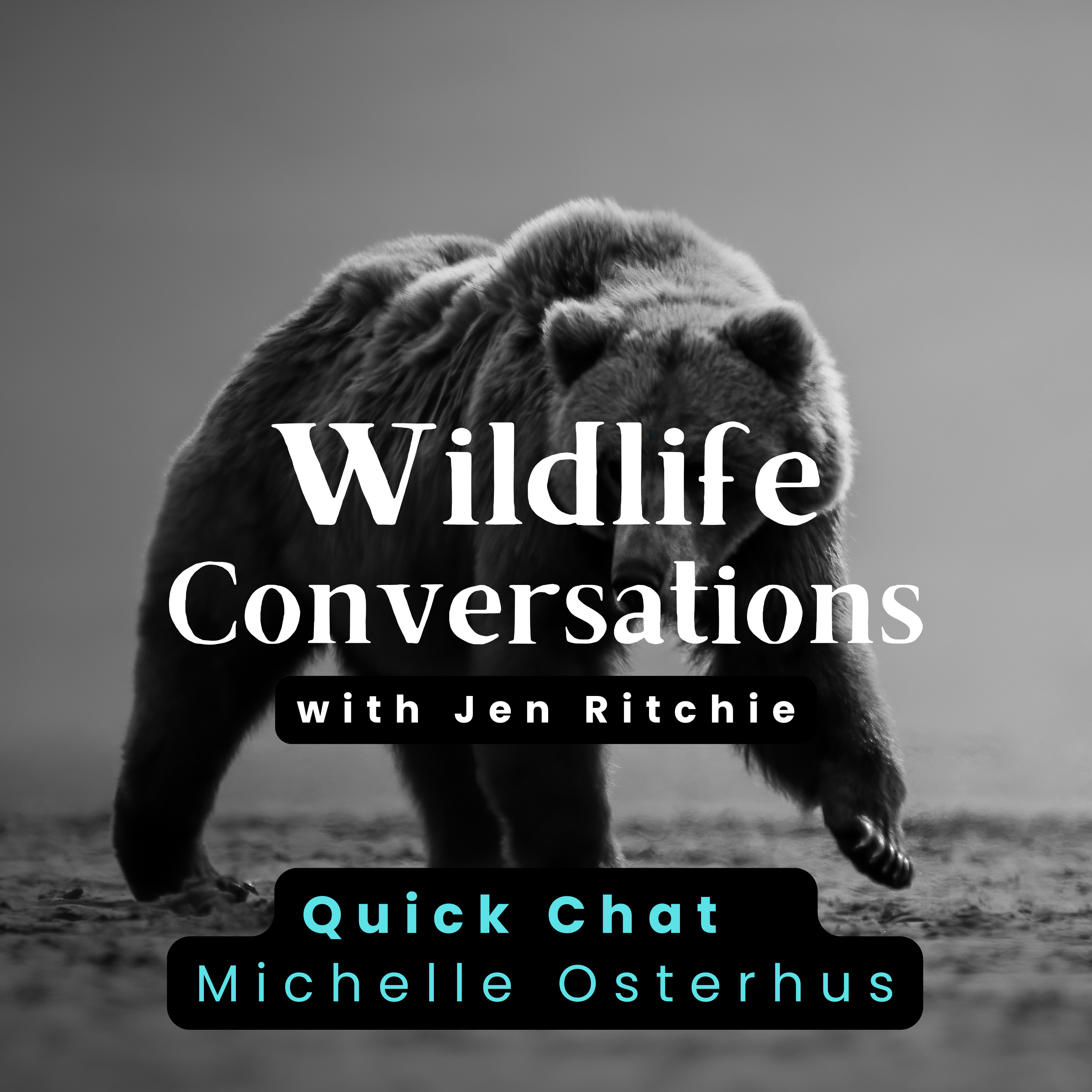 Wildlife Conversations with Jen Ritchie