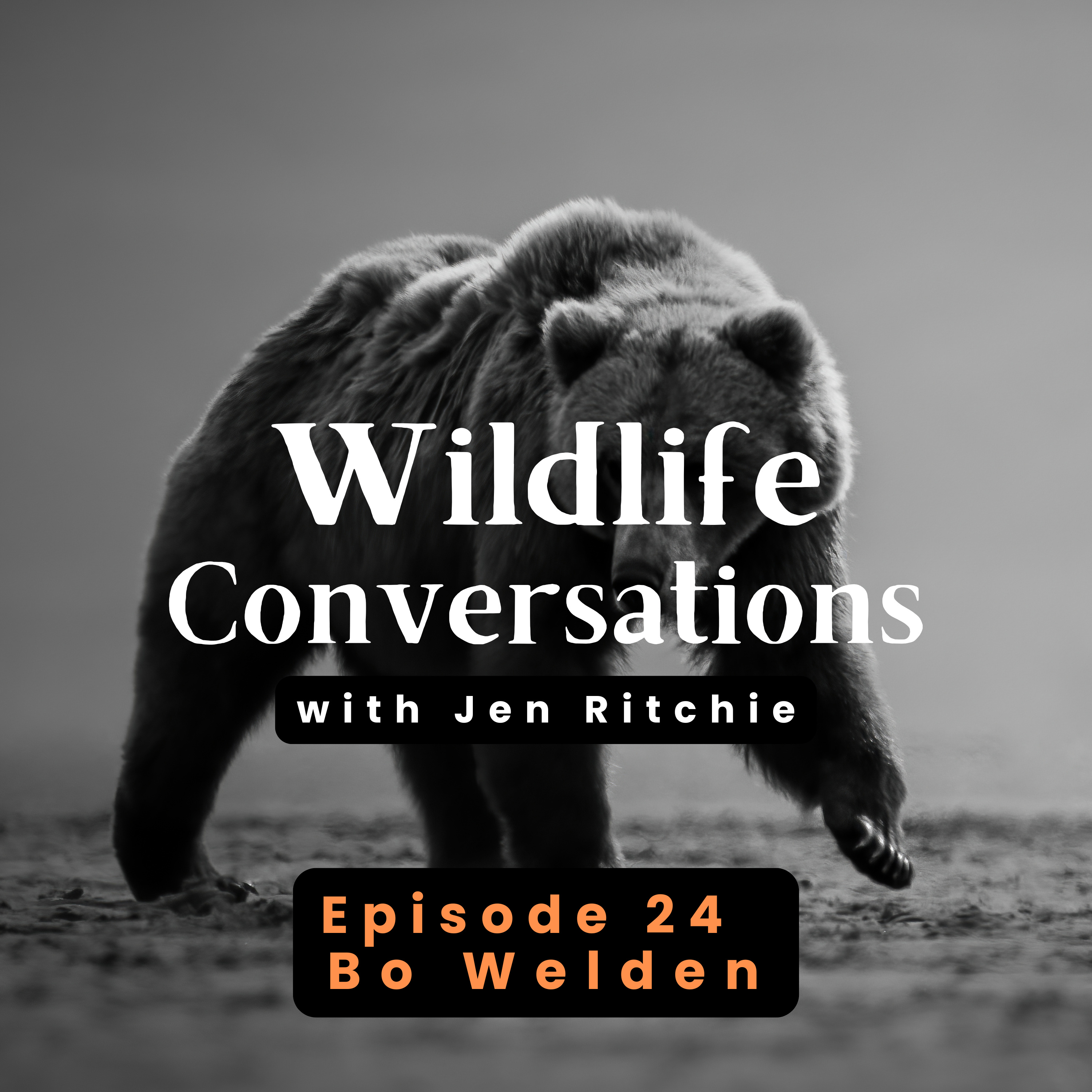 Wildlife Conversations with Jen Ritchie