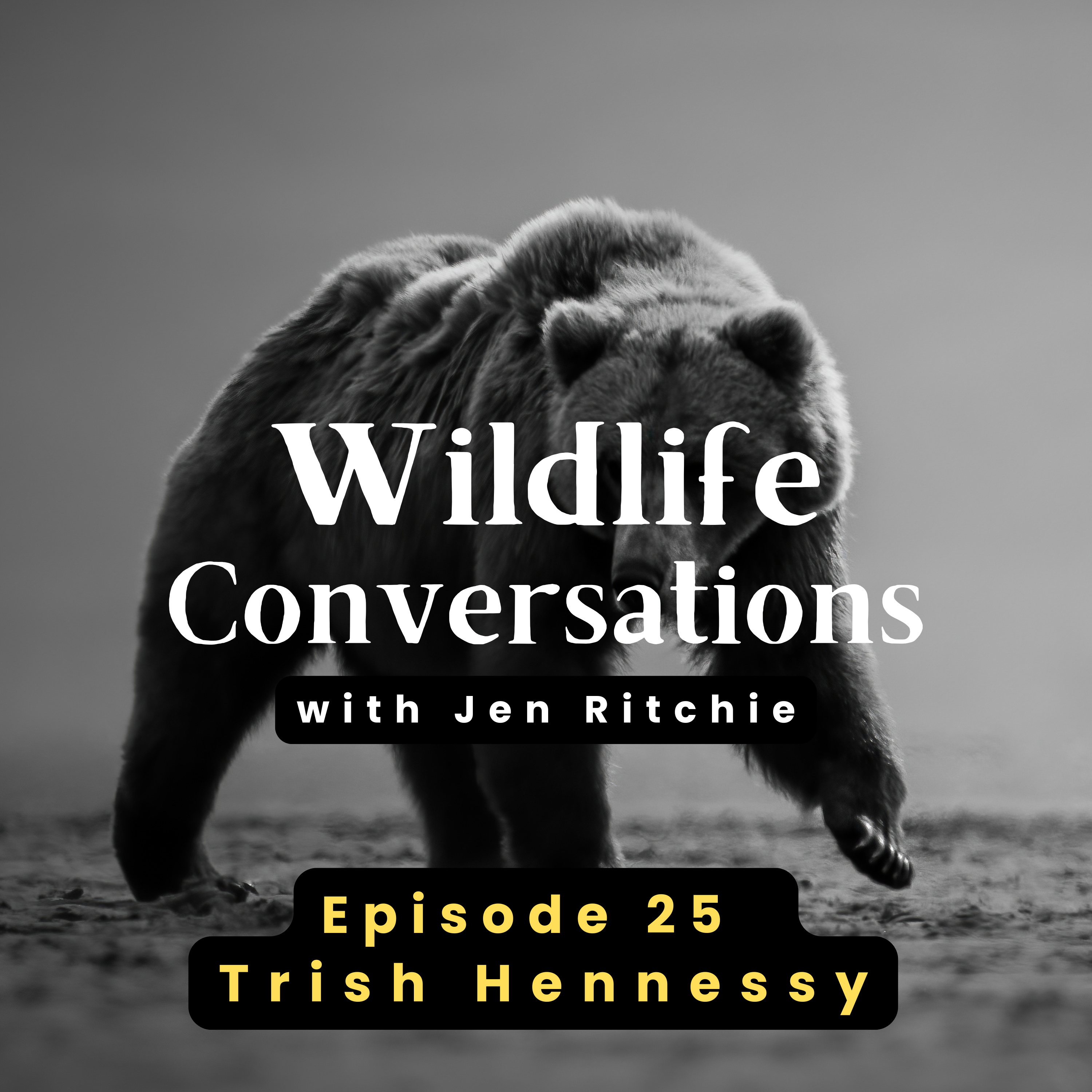Wildlife Conversations with Jen Ritchie