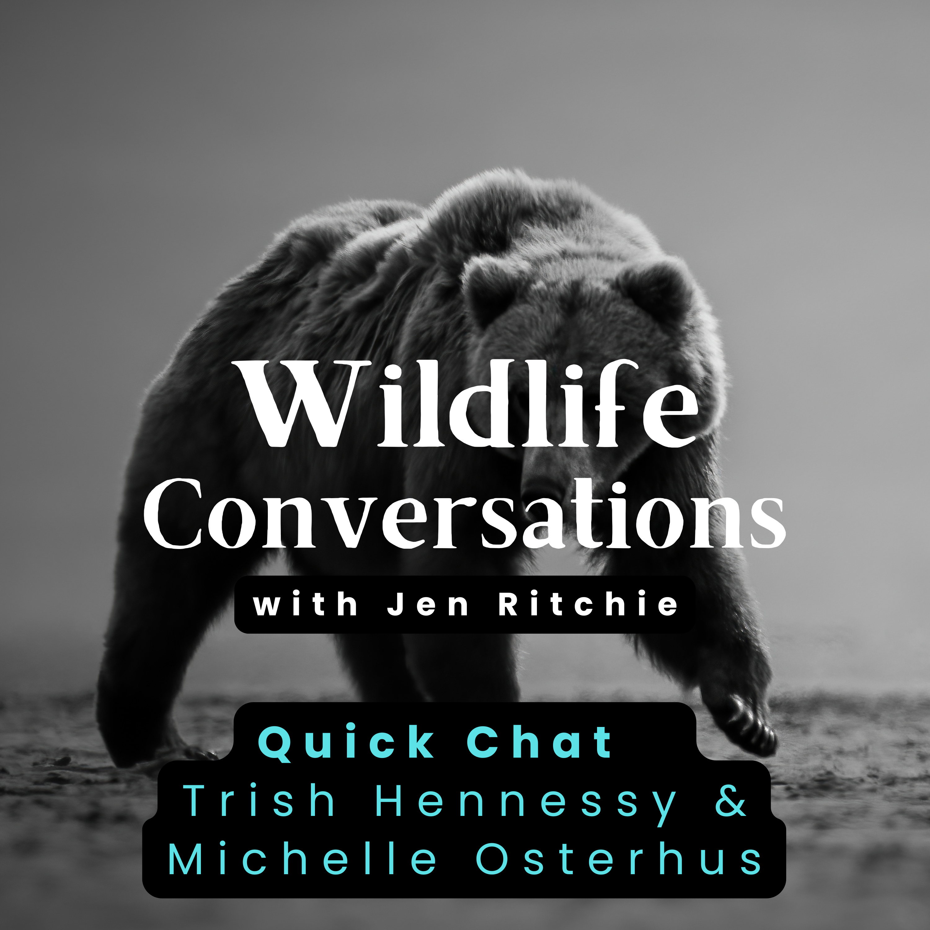 Wildlife Conversations with Jen Ritchie