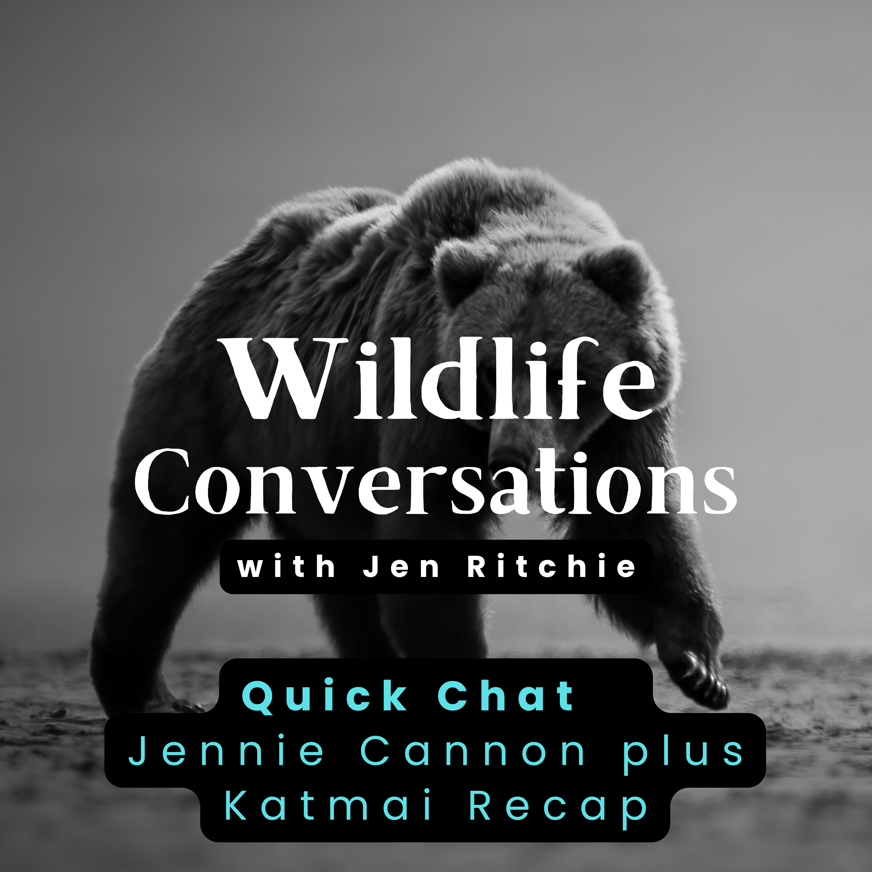Wildlife Conversations with Jen Ritchie