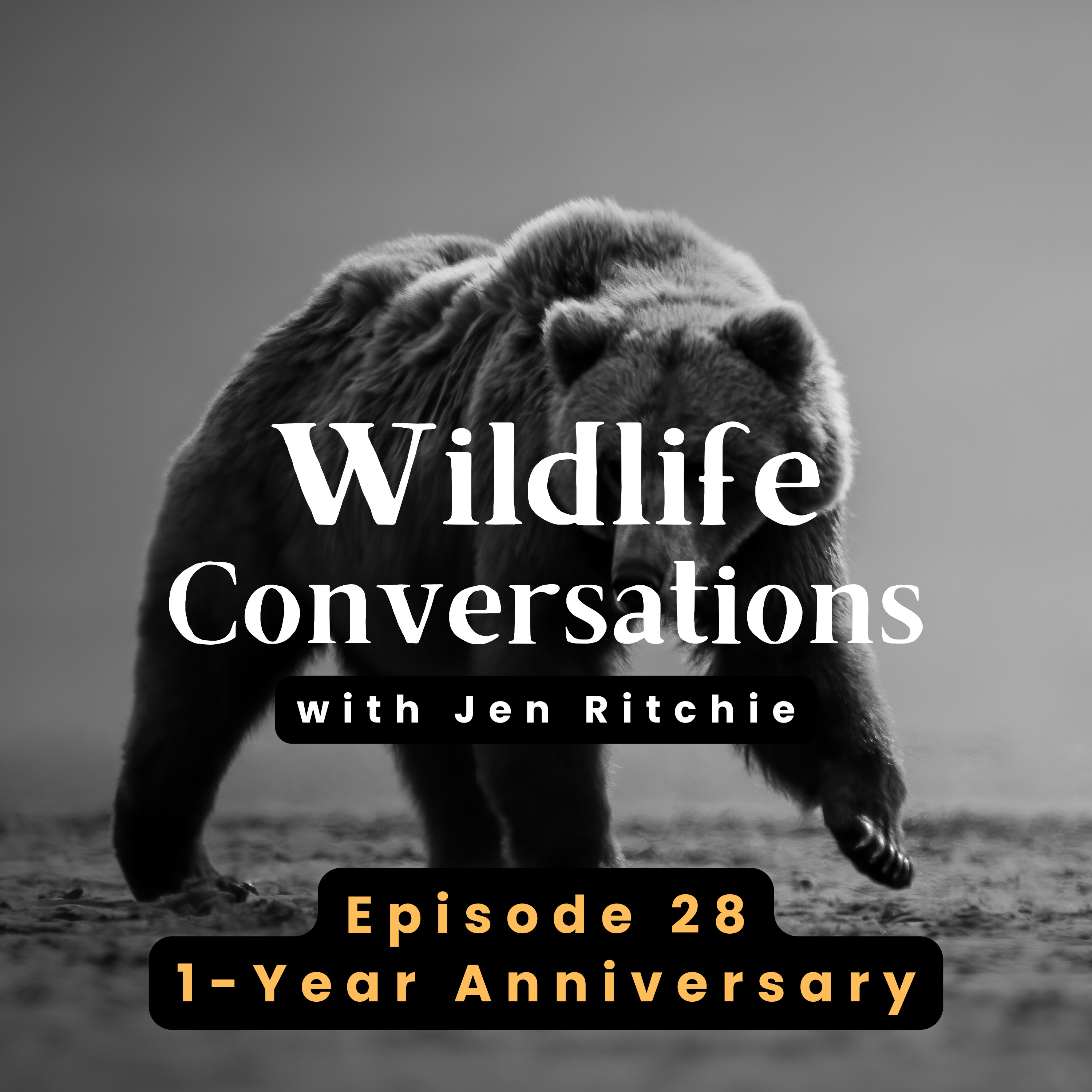 Wildlife Conversations with Jen Ritchie