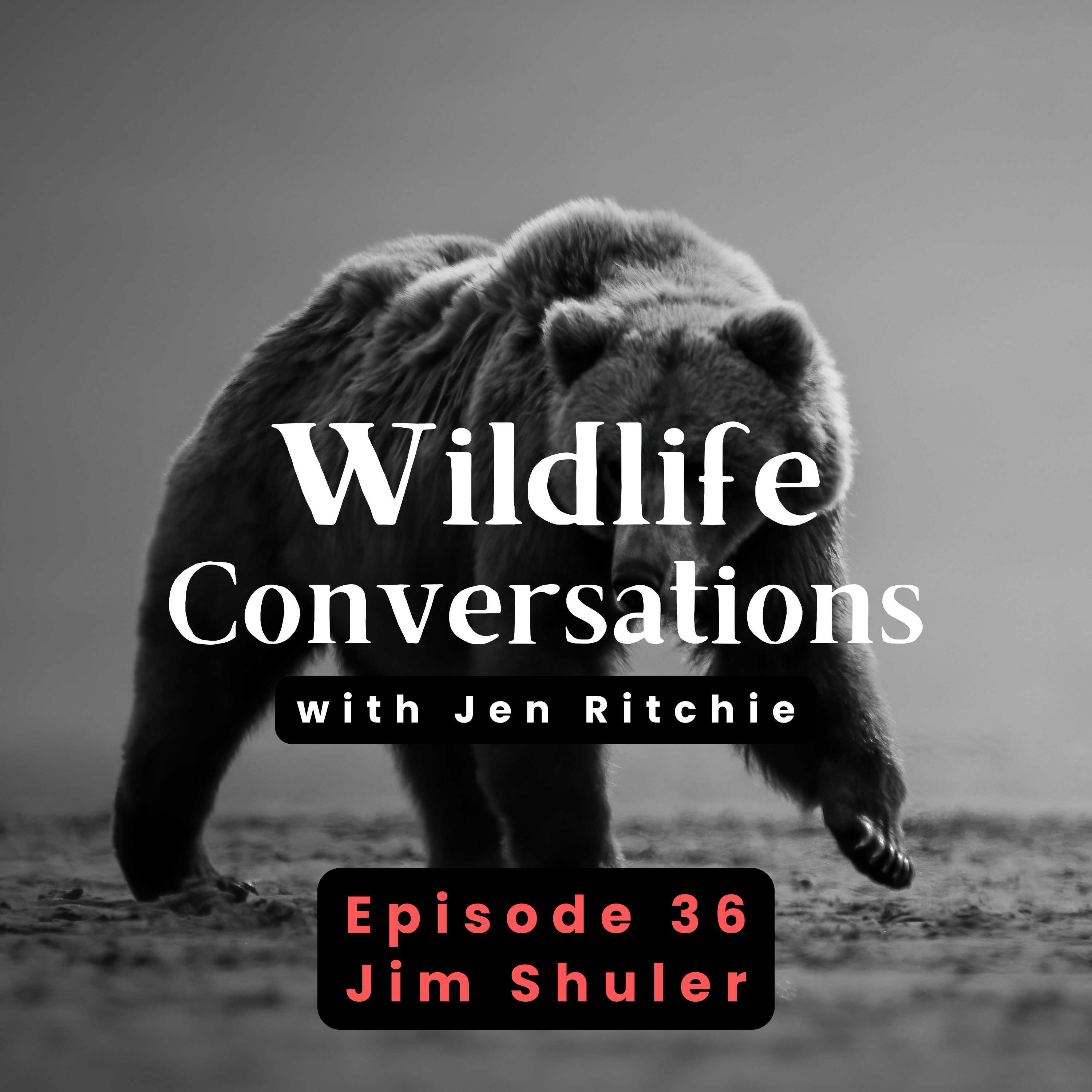 Wildlife Conversations with Jen Ritchie