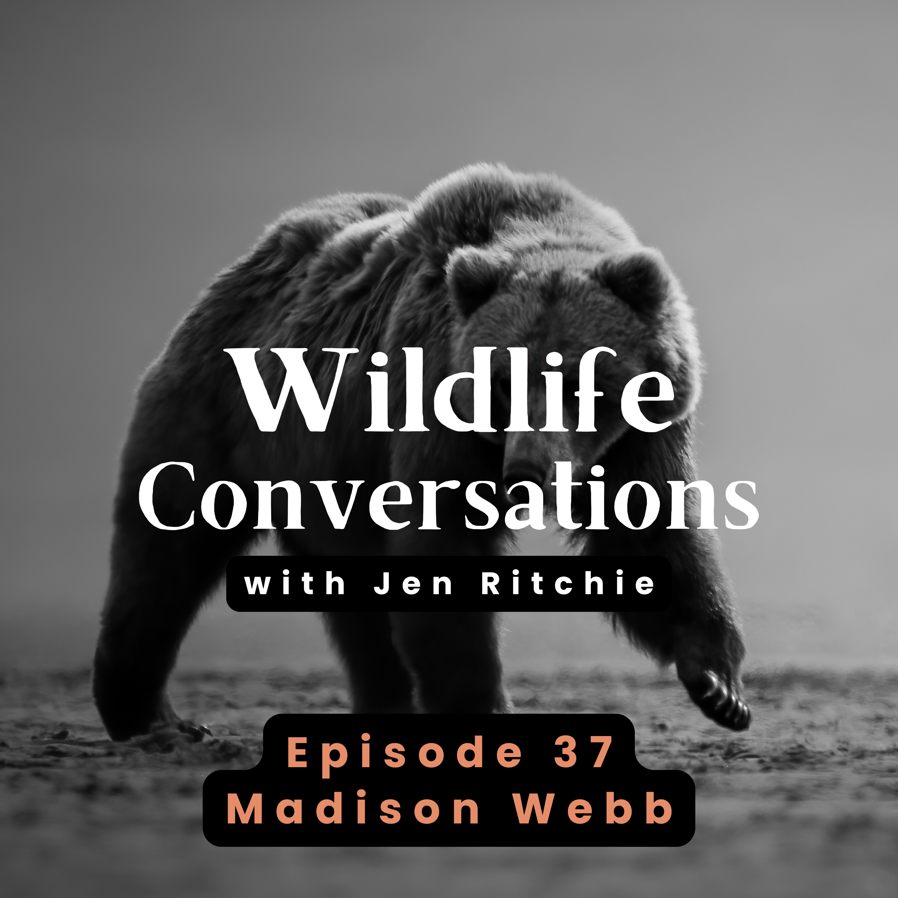 Wildlife Conversations with Jen Ritchie