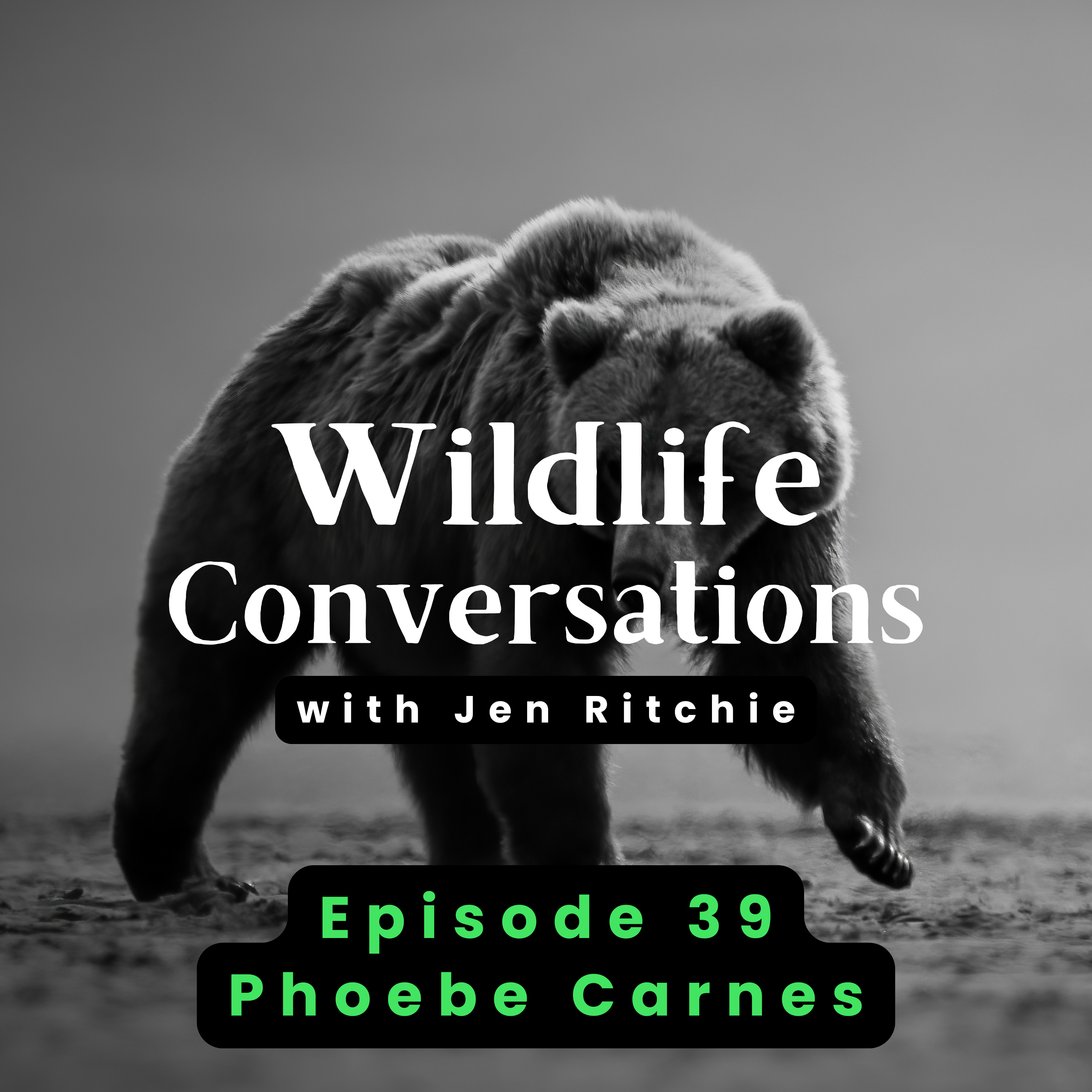 Wildlife Conversations with Jen Ritchie