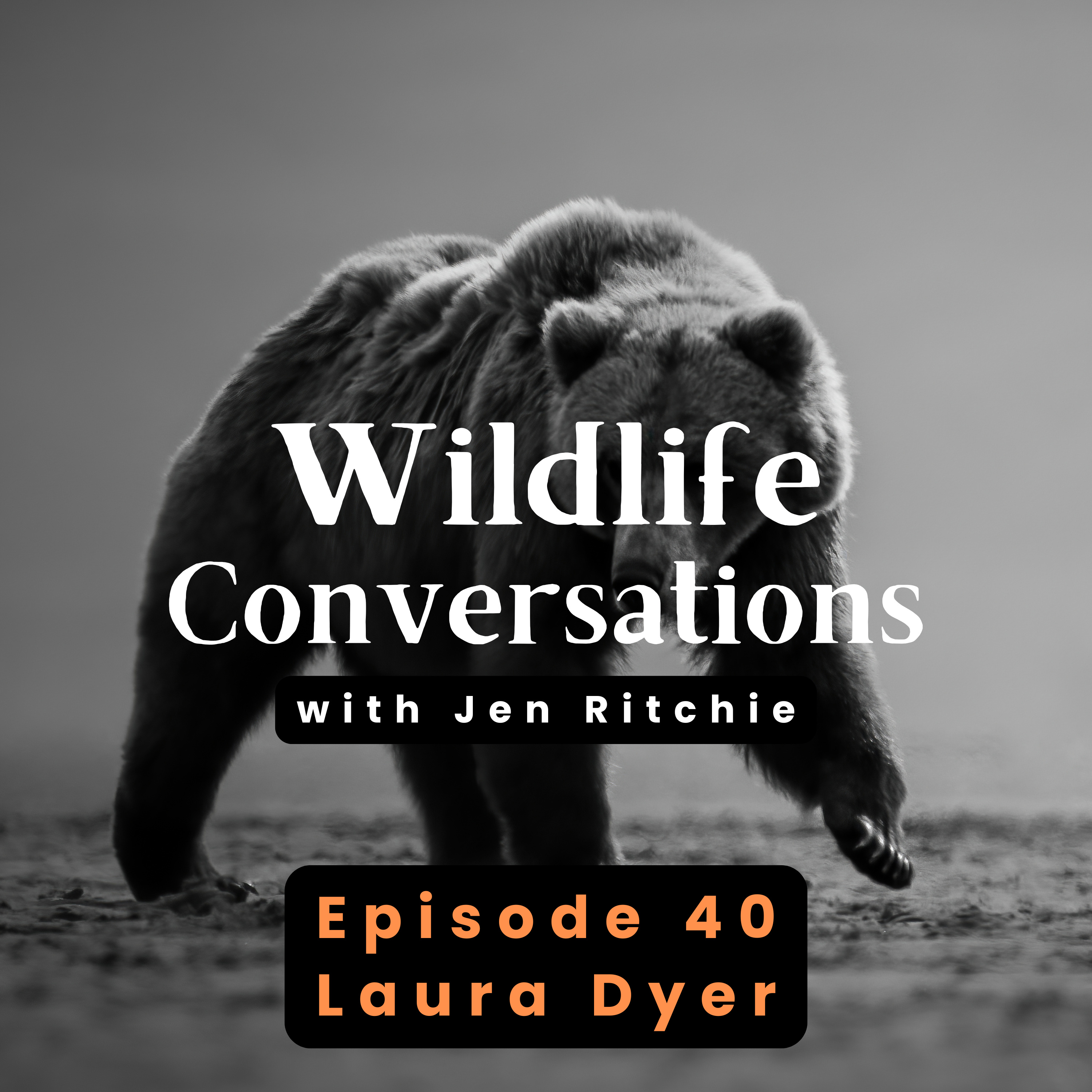 Wildlife Conversations with Jen Ritchie